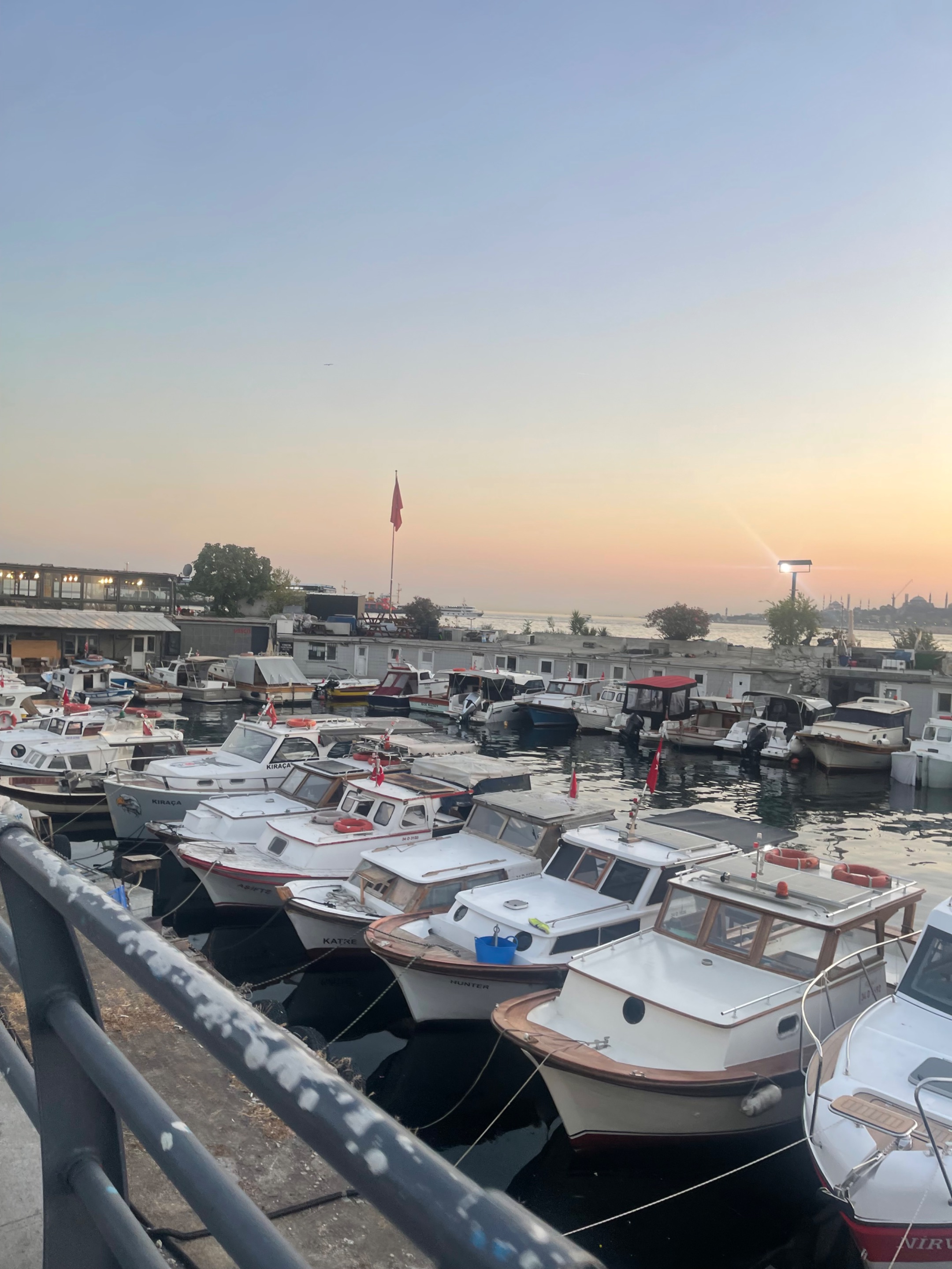 IMG_0769.jpeg