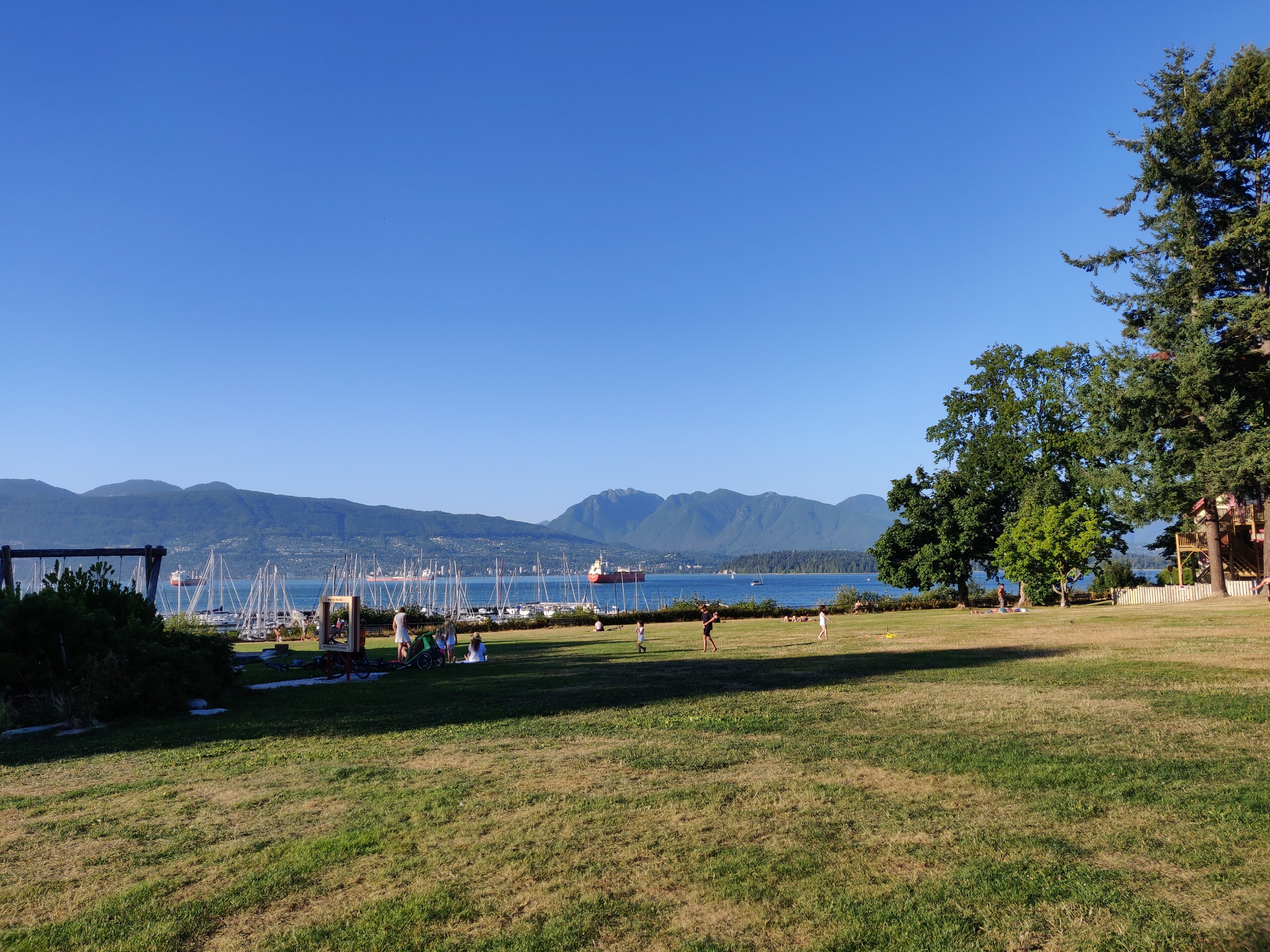 IMG_20200817_184316.jpg
