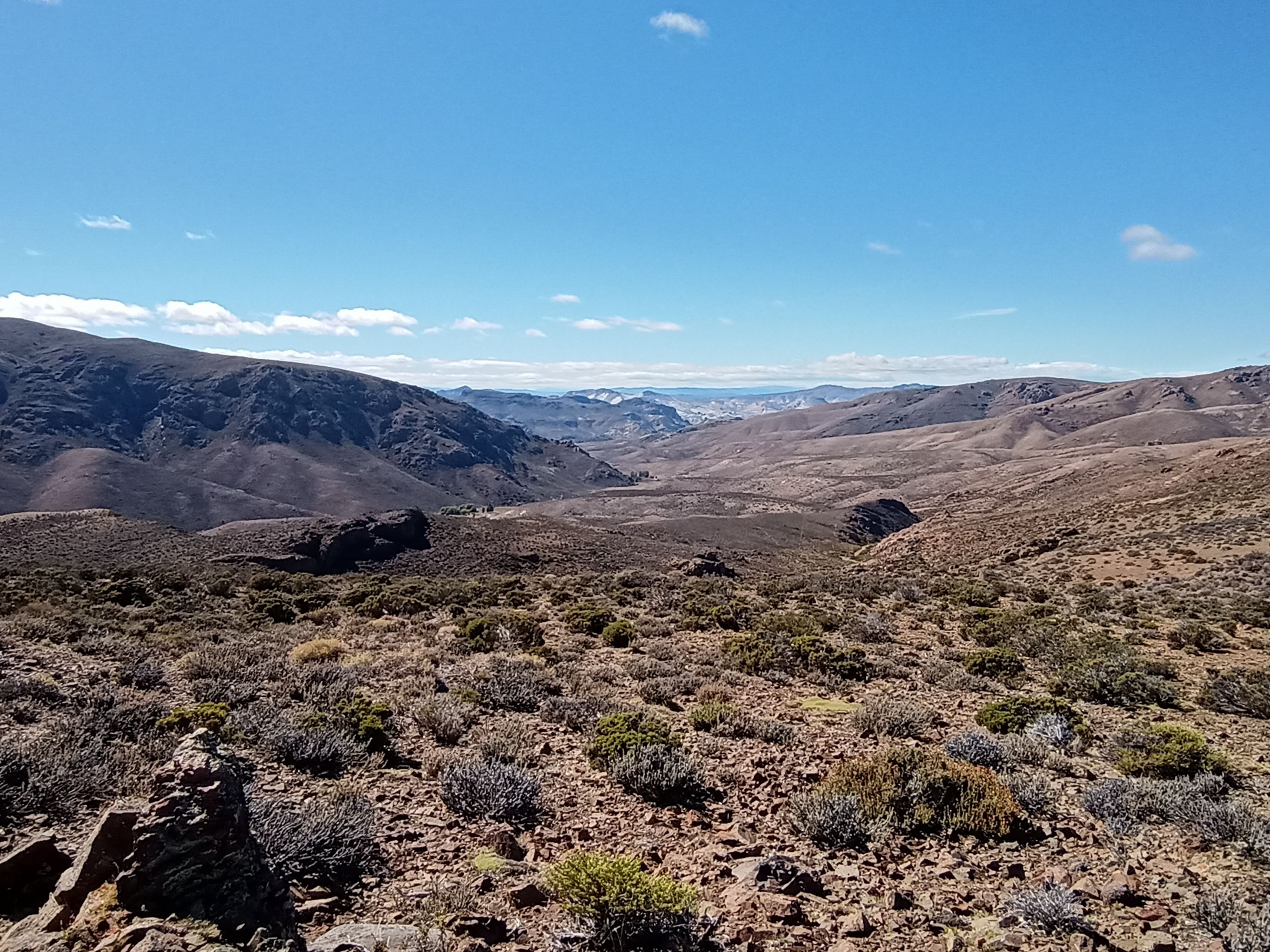 patagonia1.jpg