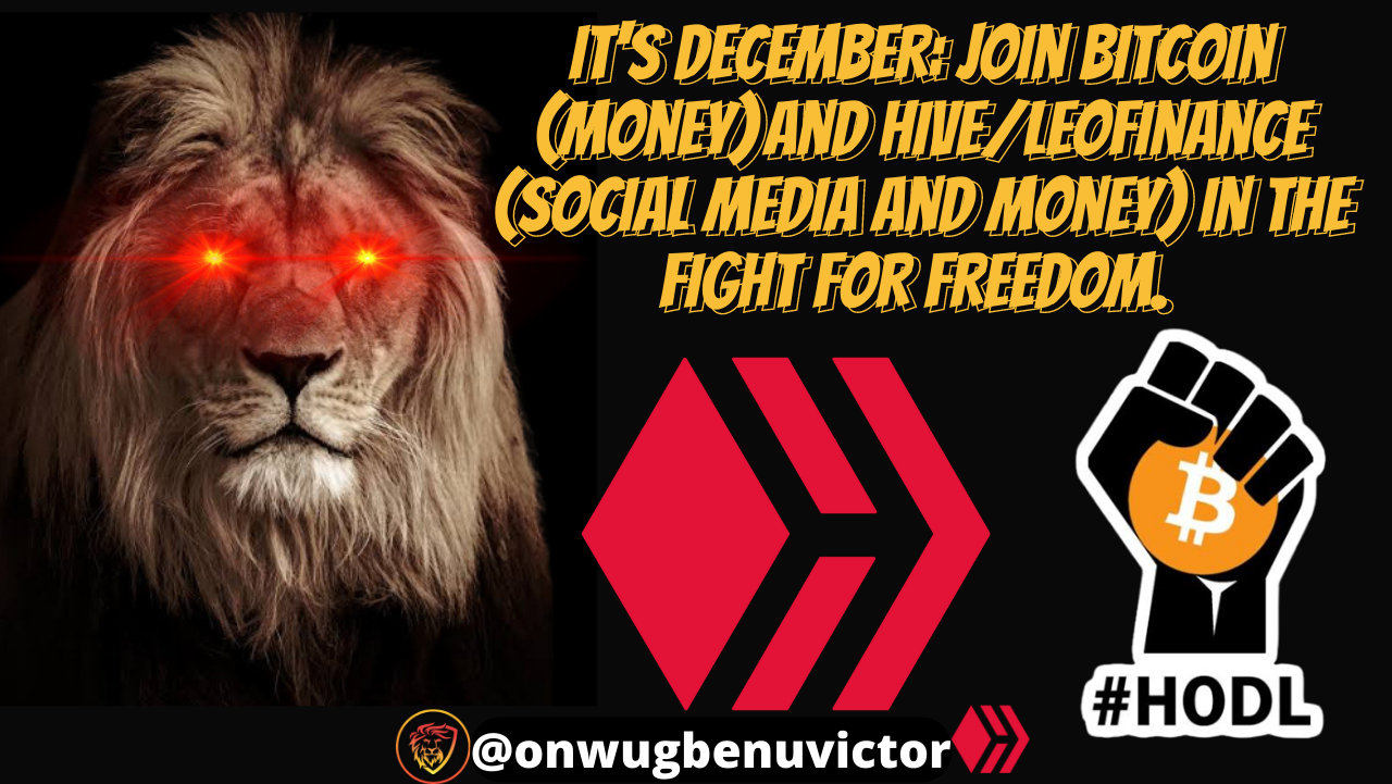 @onwugbenuvictor/it-s-december-join-bitcoin-money-and-hive-leofinance-social-media-and-money-in-the-fight-for-freedom