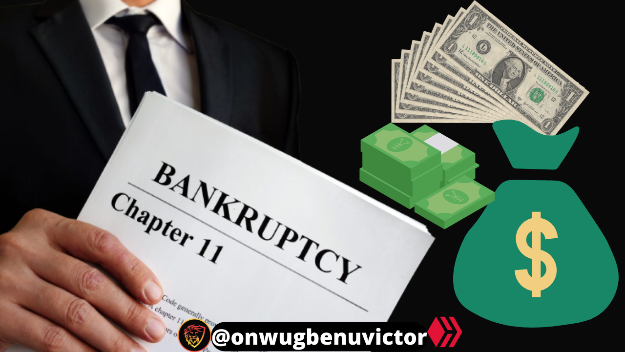 @onwugbenuvictor/bankruptcy-lawyers-made-the-most-money-from-crypto-this-year
