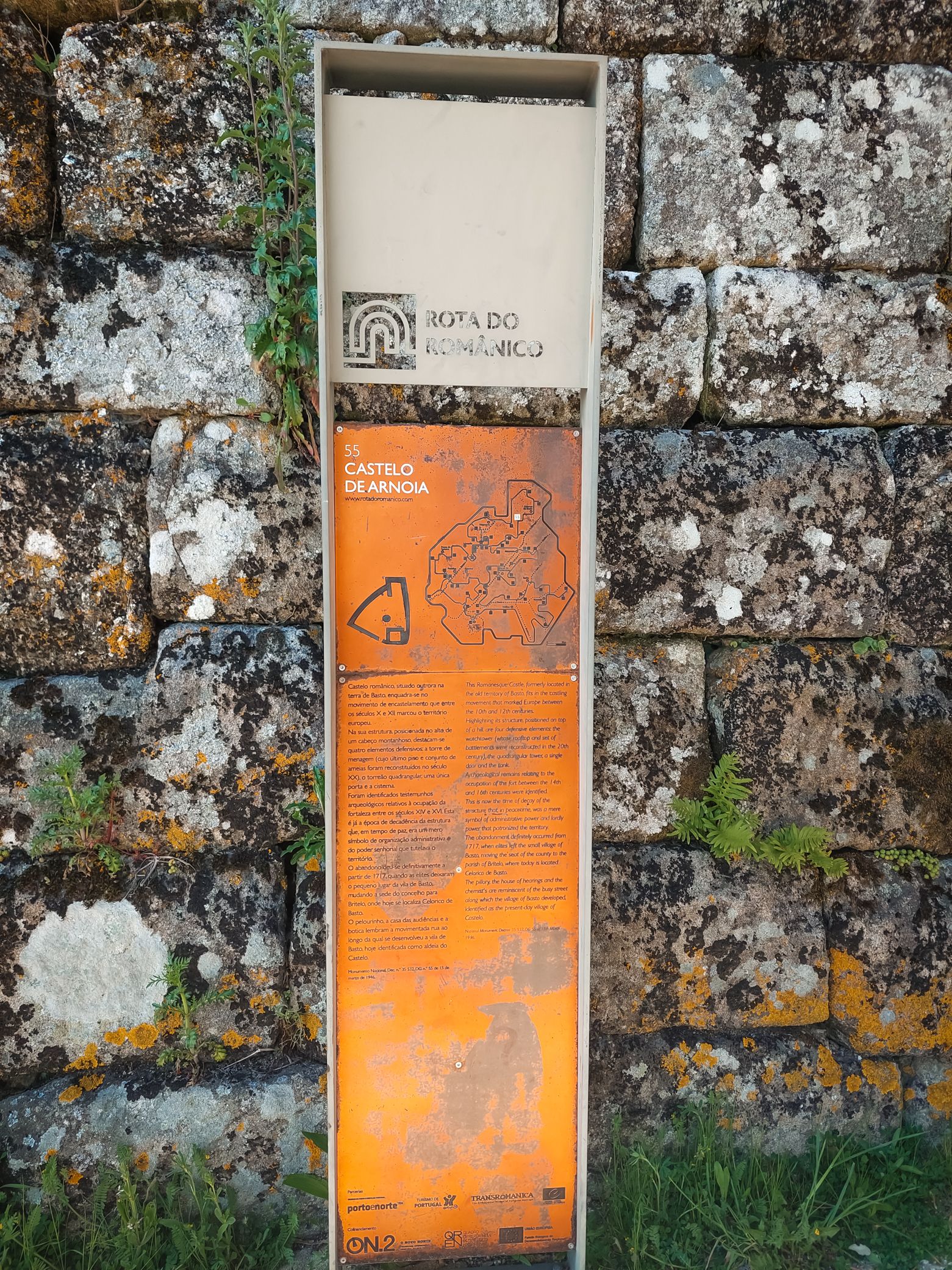 20250426_171028.jpg