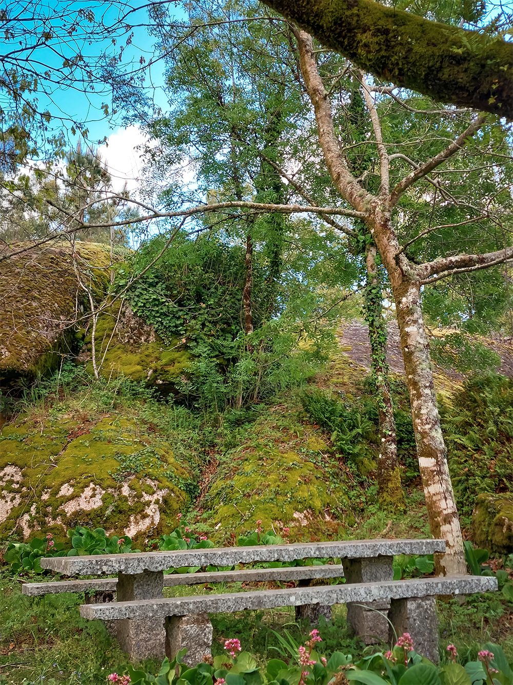 20250416_180722.jpg