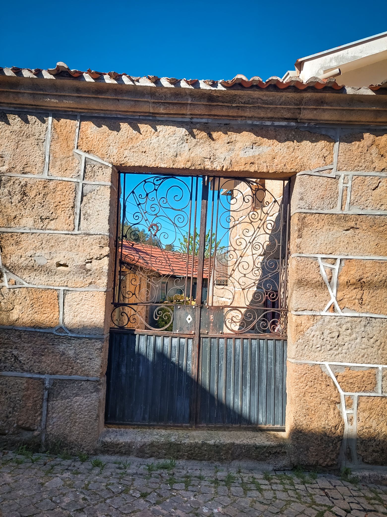 20250426_165651.jpg