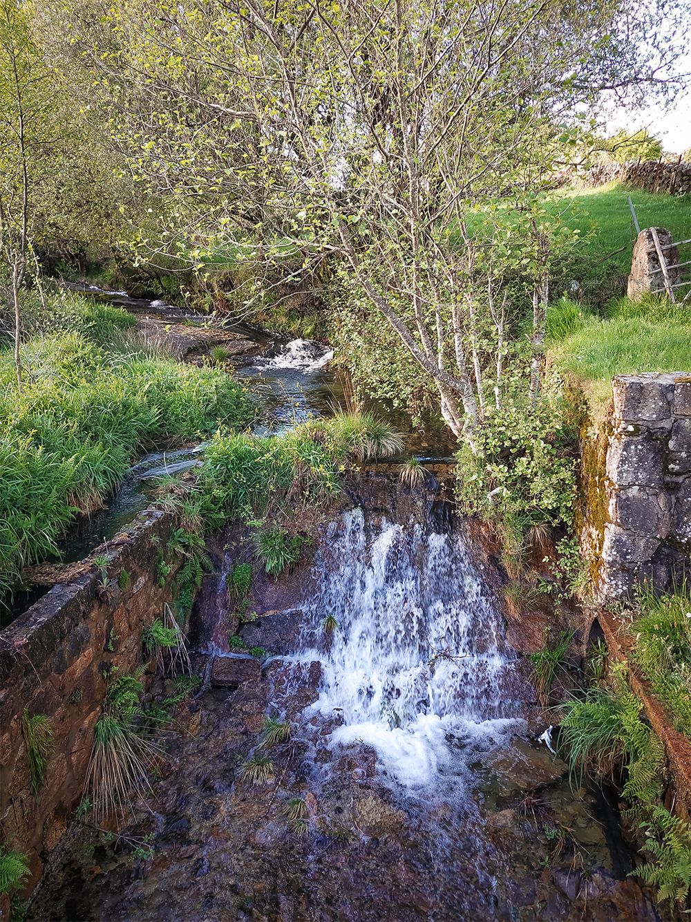 20250416_183756.jpg
