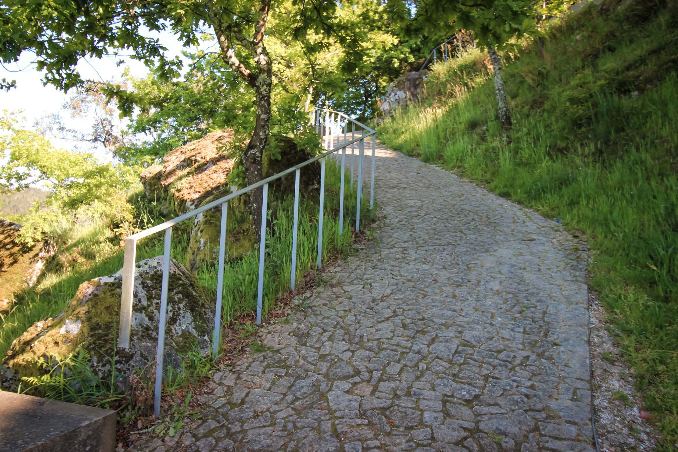 IMG_1327.jpg