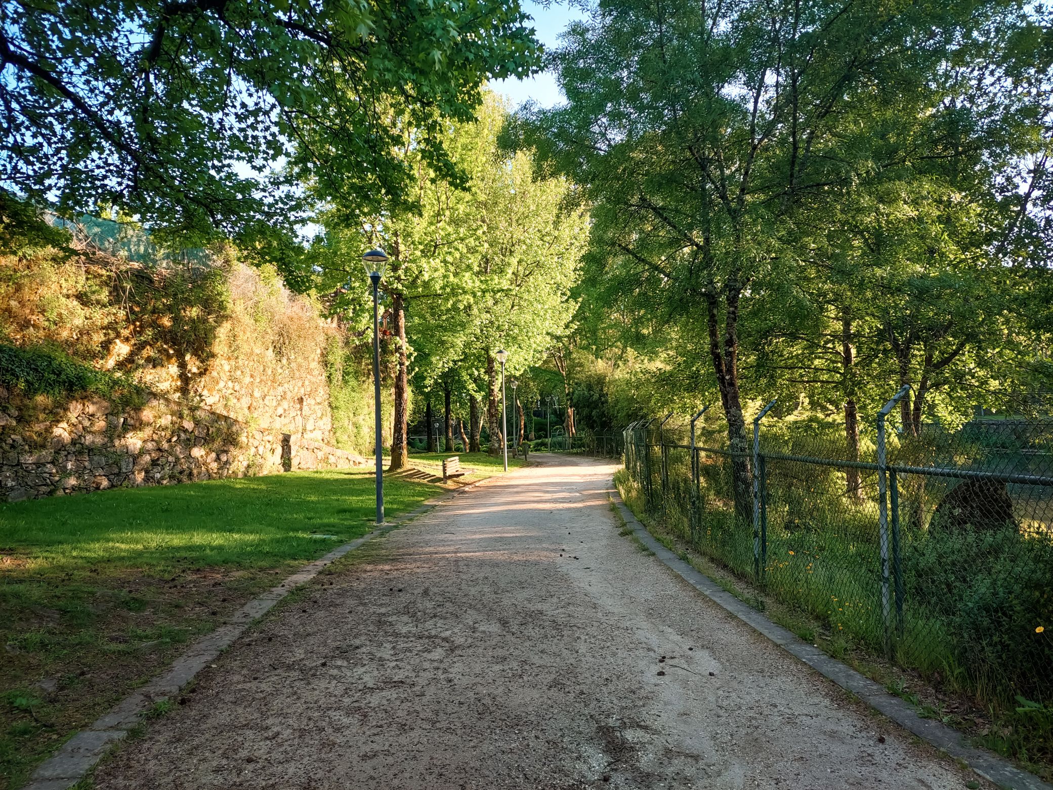 20250426_191147.jpg