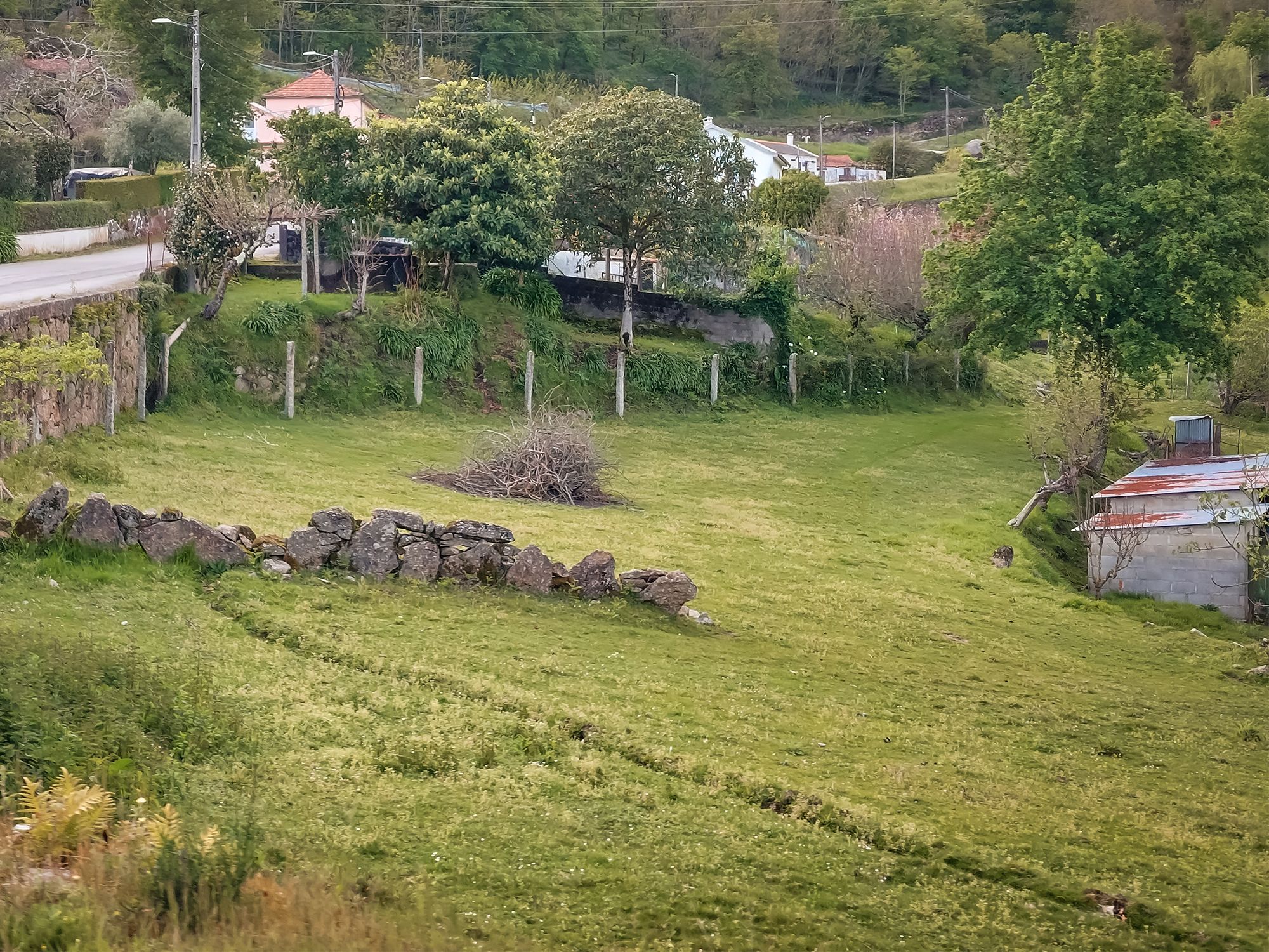 20250416_174800.jpg