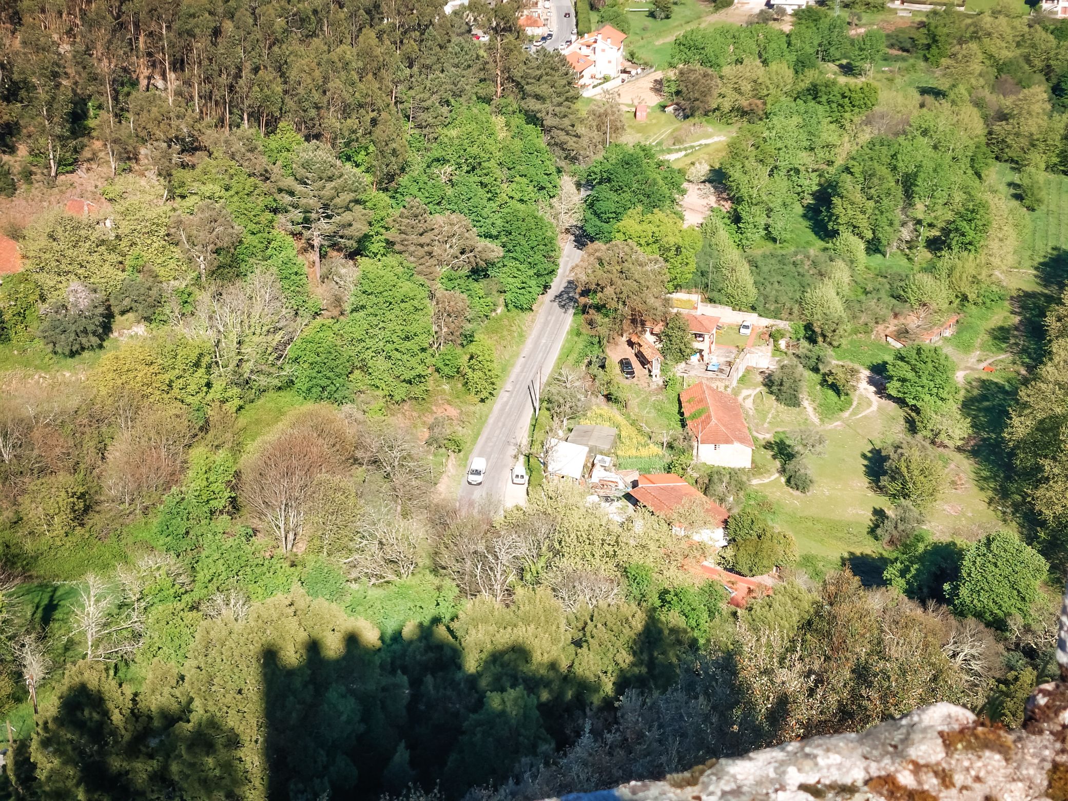 20250426_172330.jpg
