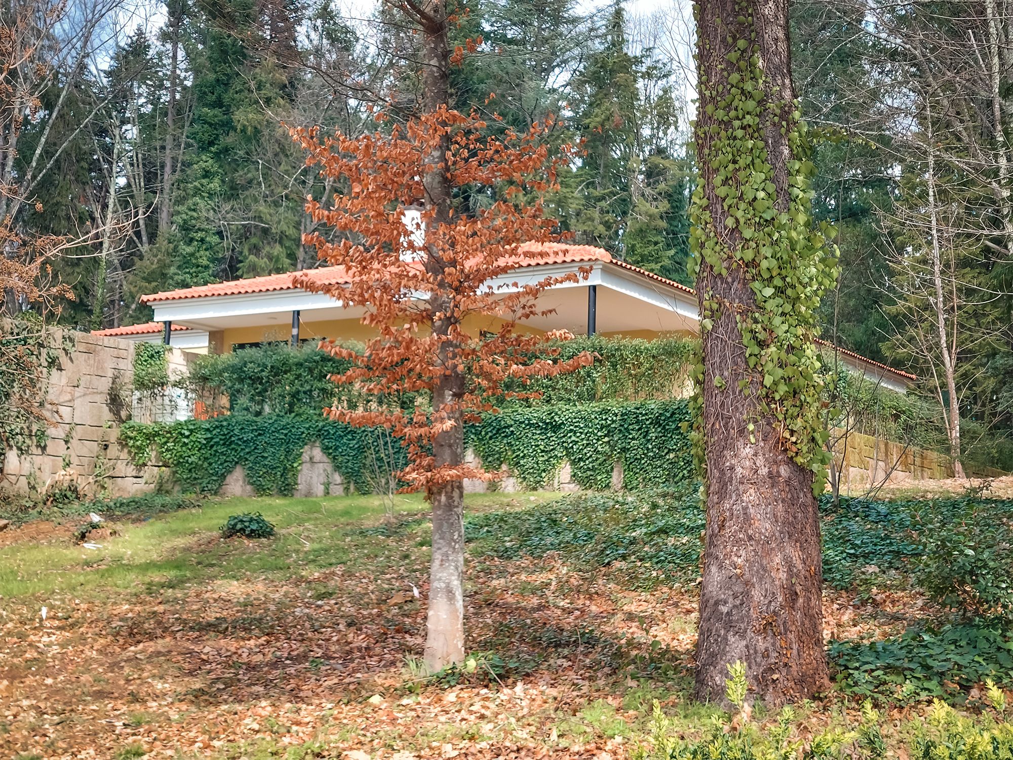 20250315_123953.jpg