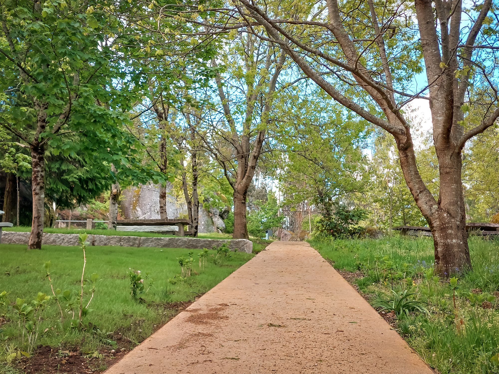 20250416_180819.jpg