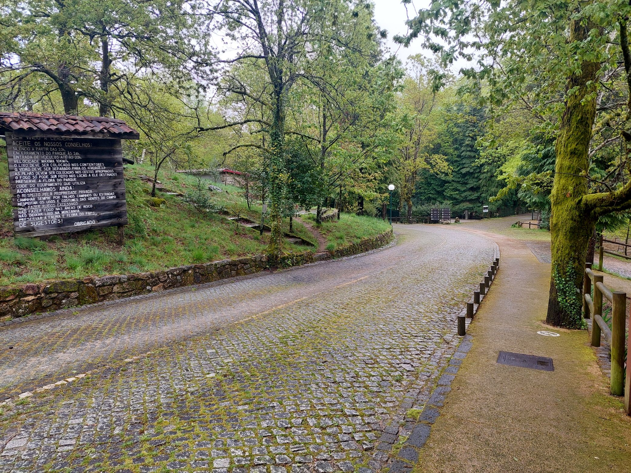 20250420_154301.jpg