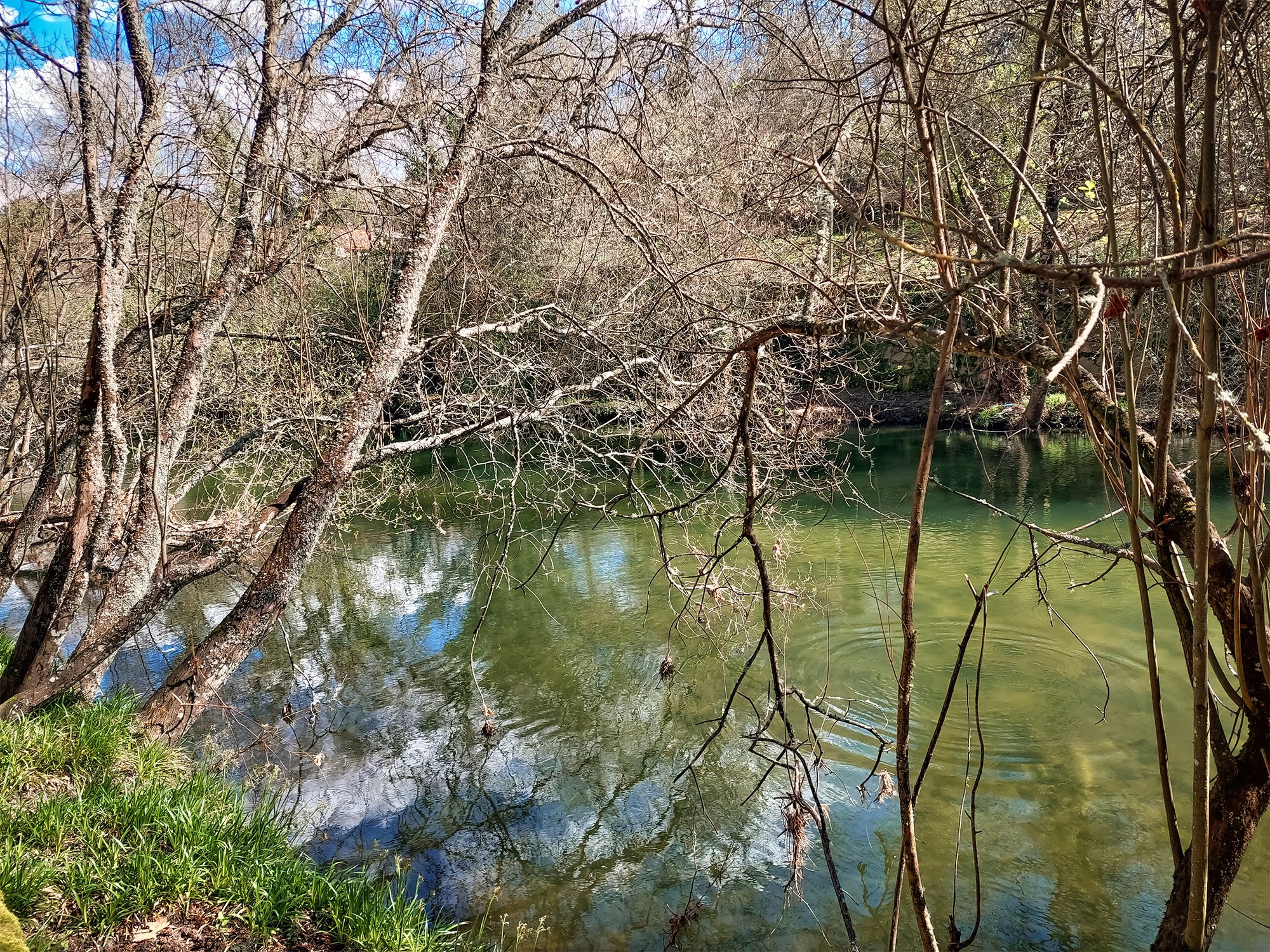 20250315_122016.jpg