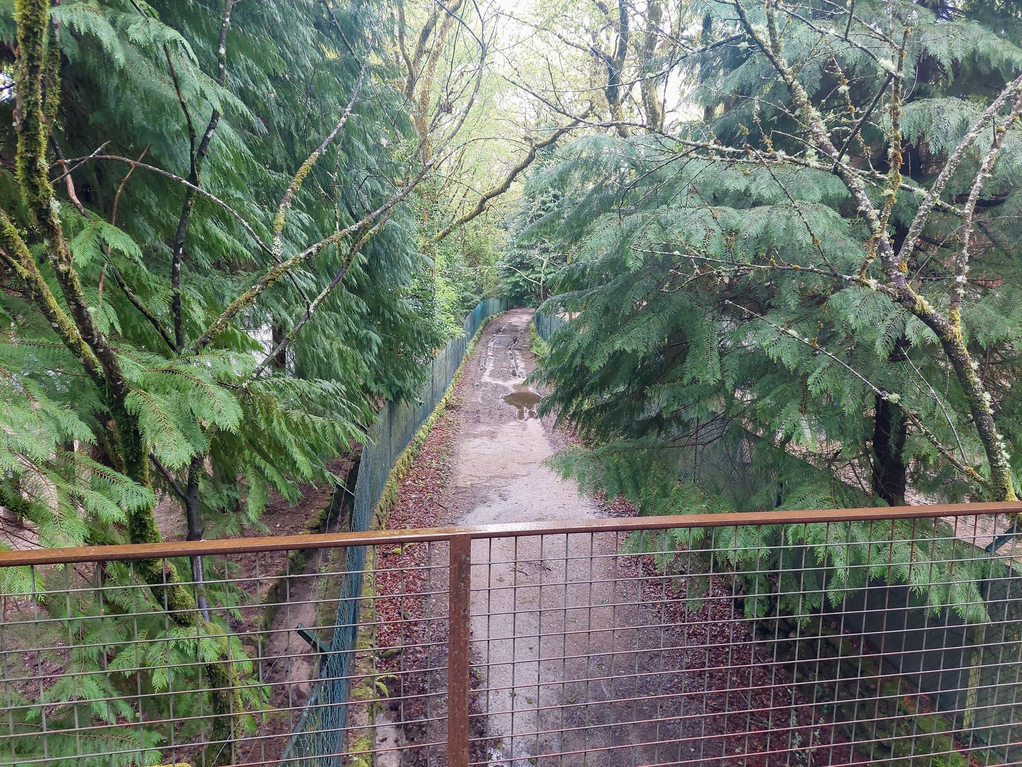 20250420_154554.jpg