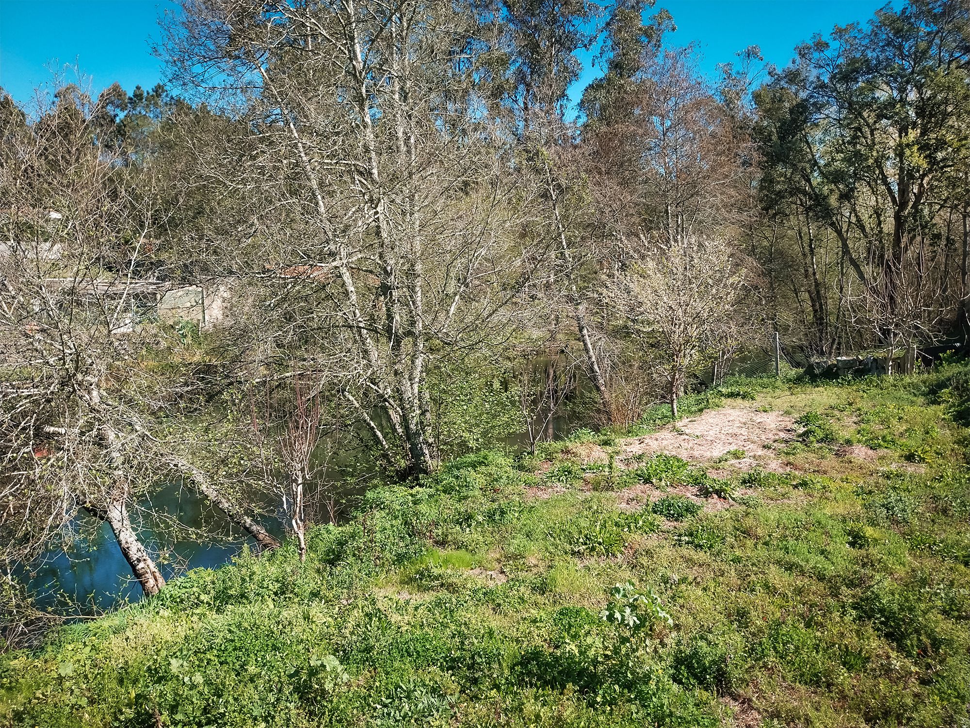 20250325_103611.jpg