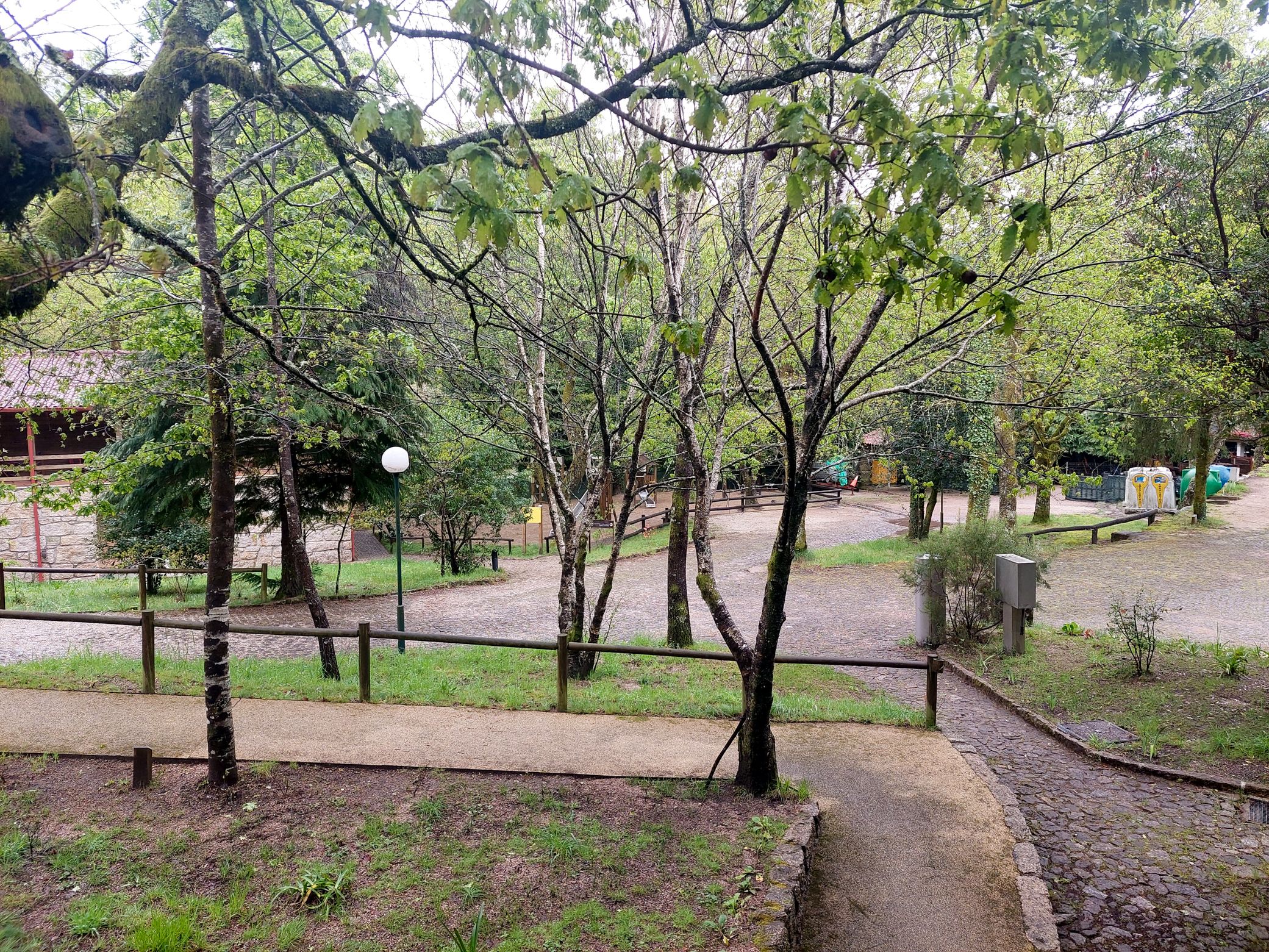 20250420_154328.jpg