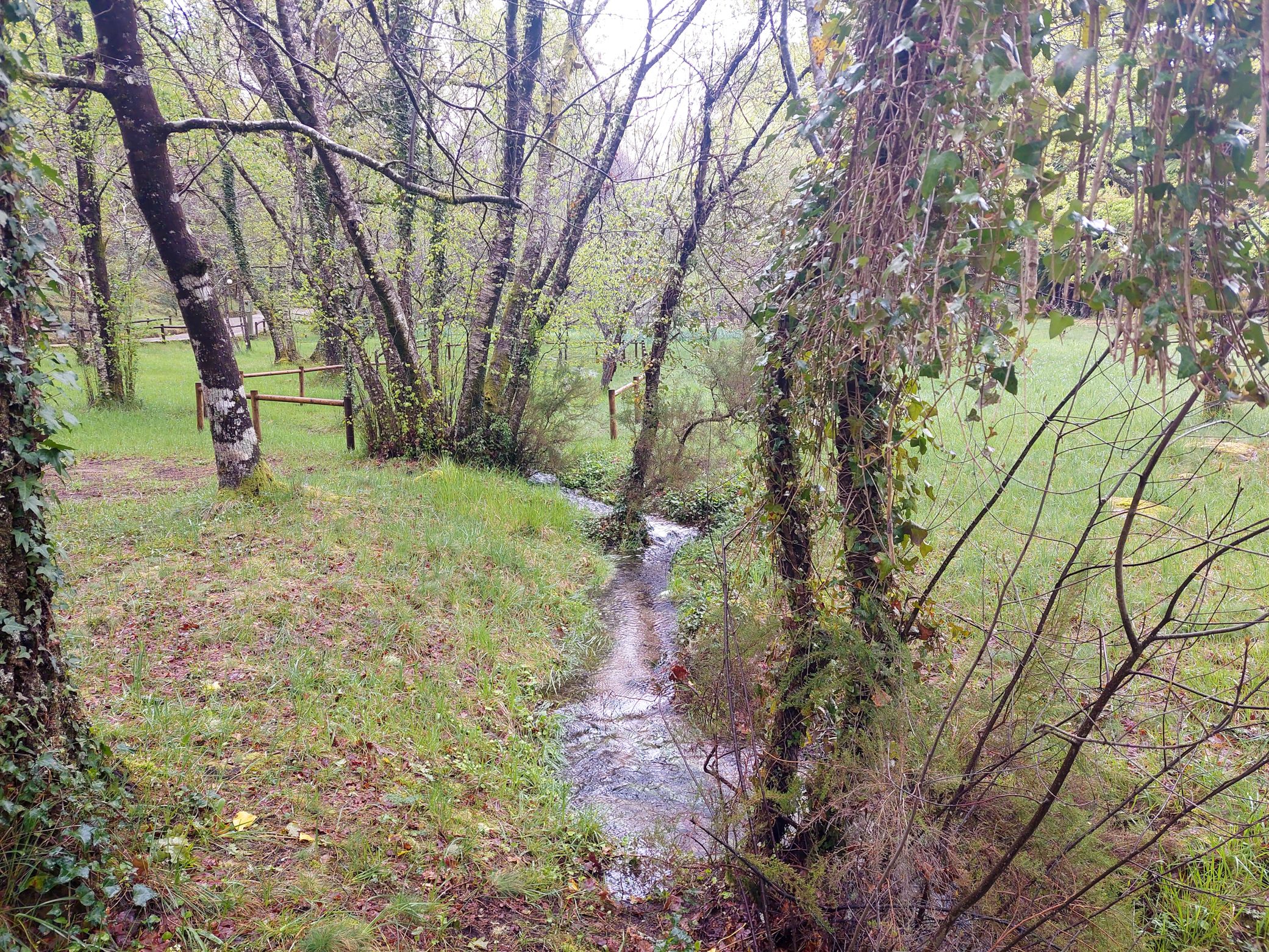 20250420_155054.jpg