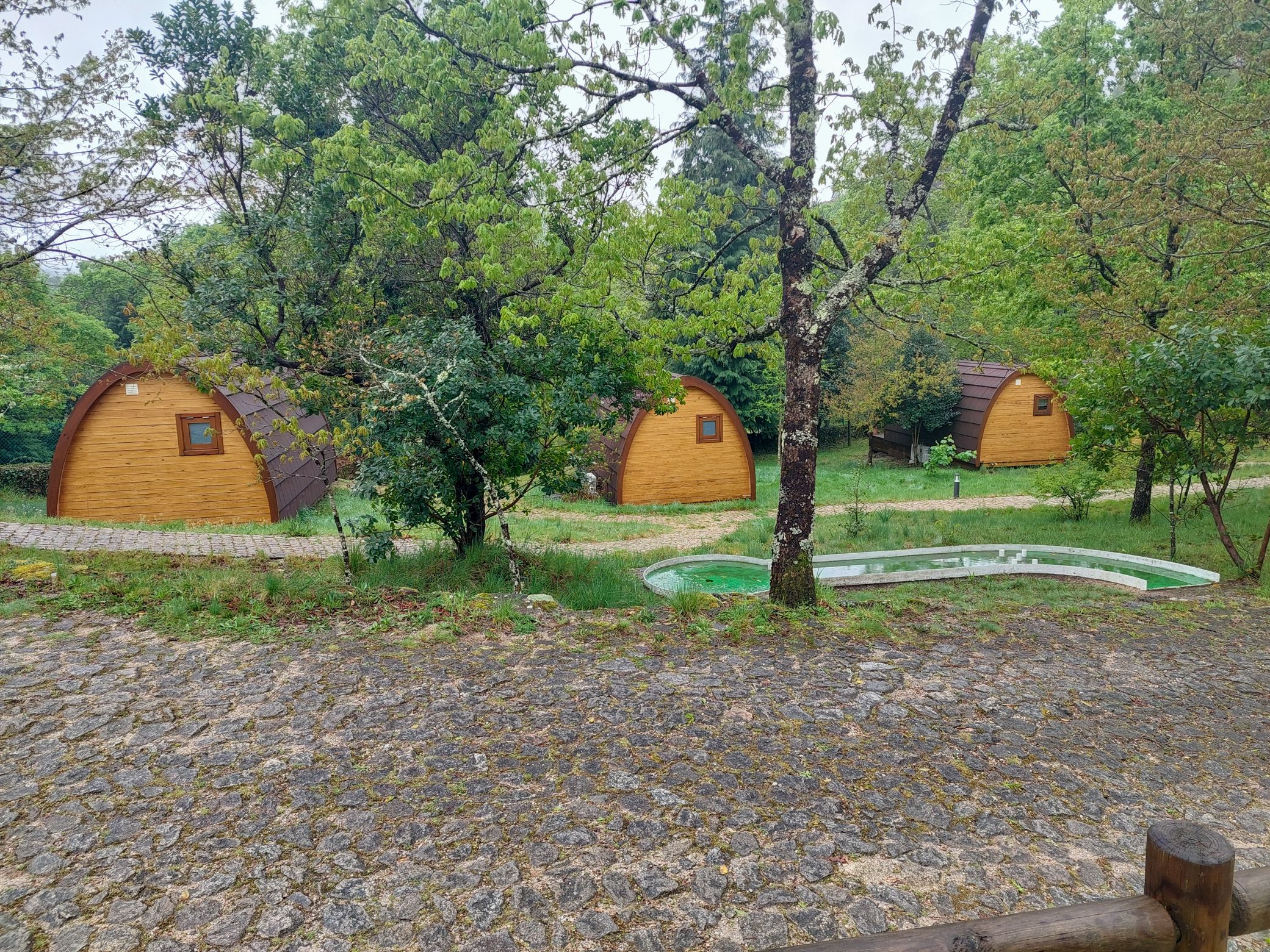 20250420_152453.jpg
