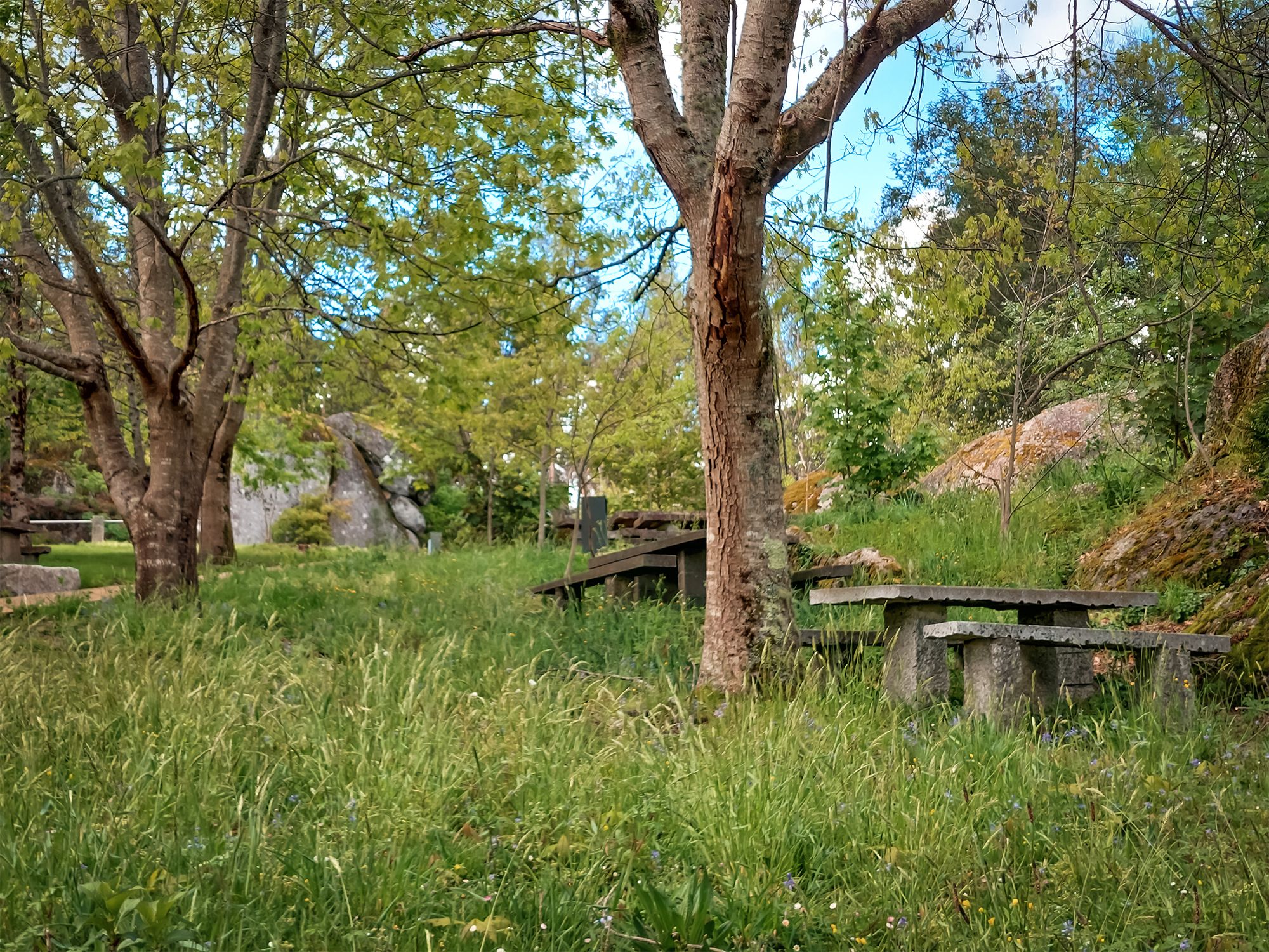 20250416_180709.jpg