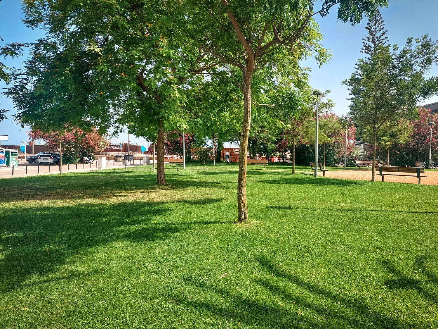 20250620_163156.jpg