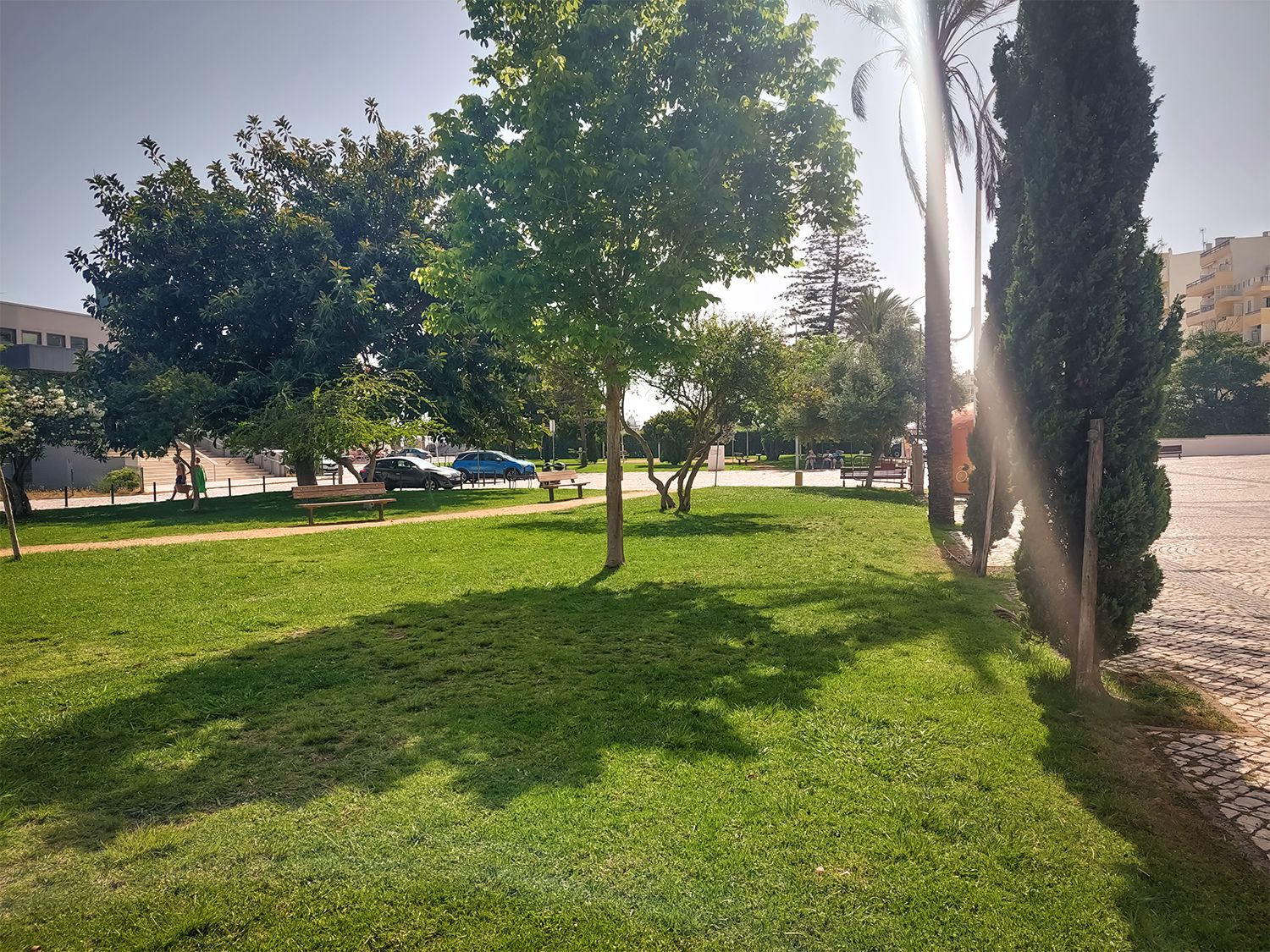 20250620_163226.jpg