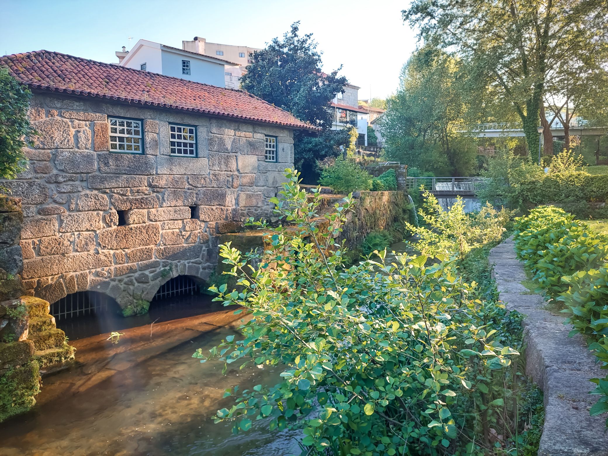 20250426_190630.jpg