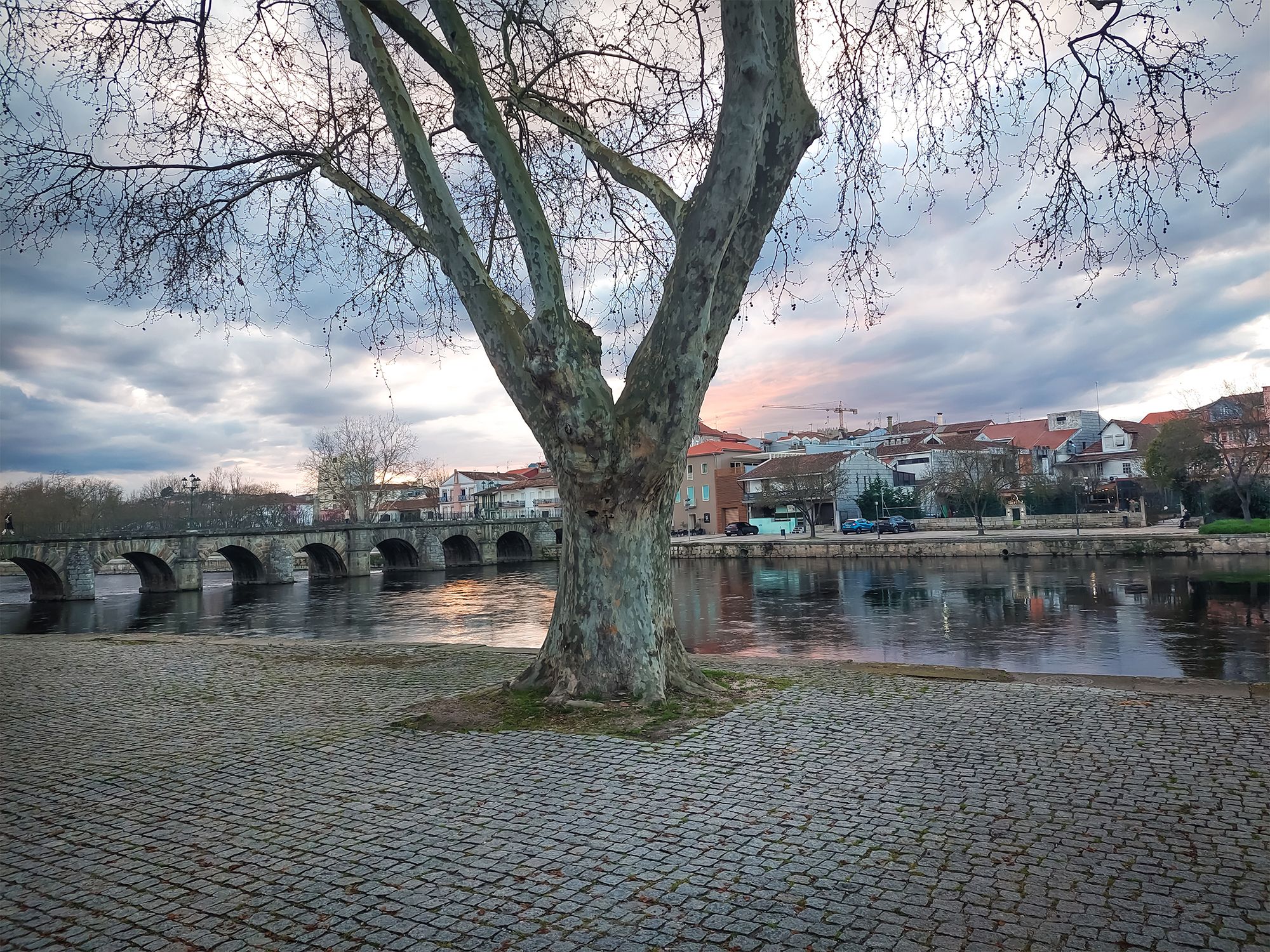 20250315_181226.jpg