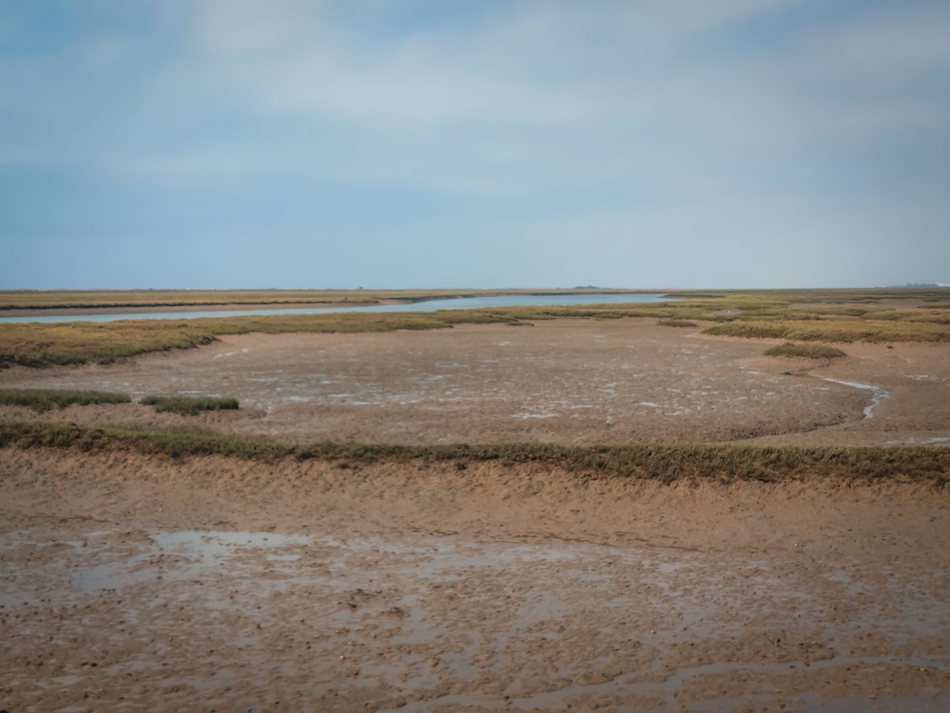 20250729_105556 (2).jpg