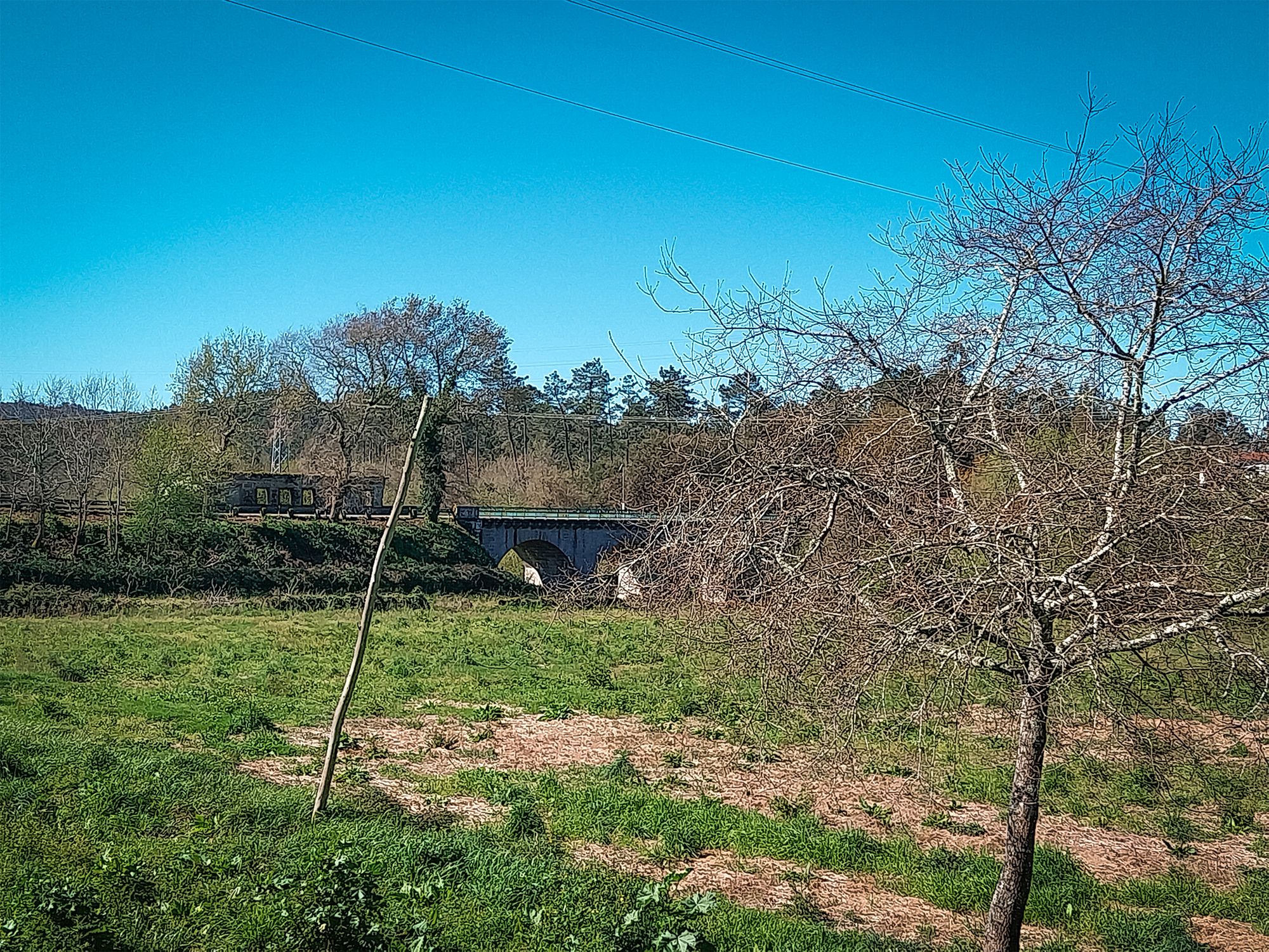20250325_103337.jpg