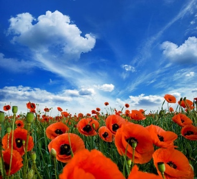 beautiful_scenic_01_hd_picture_166320.jpg