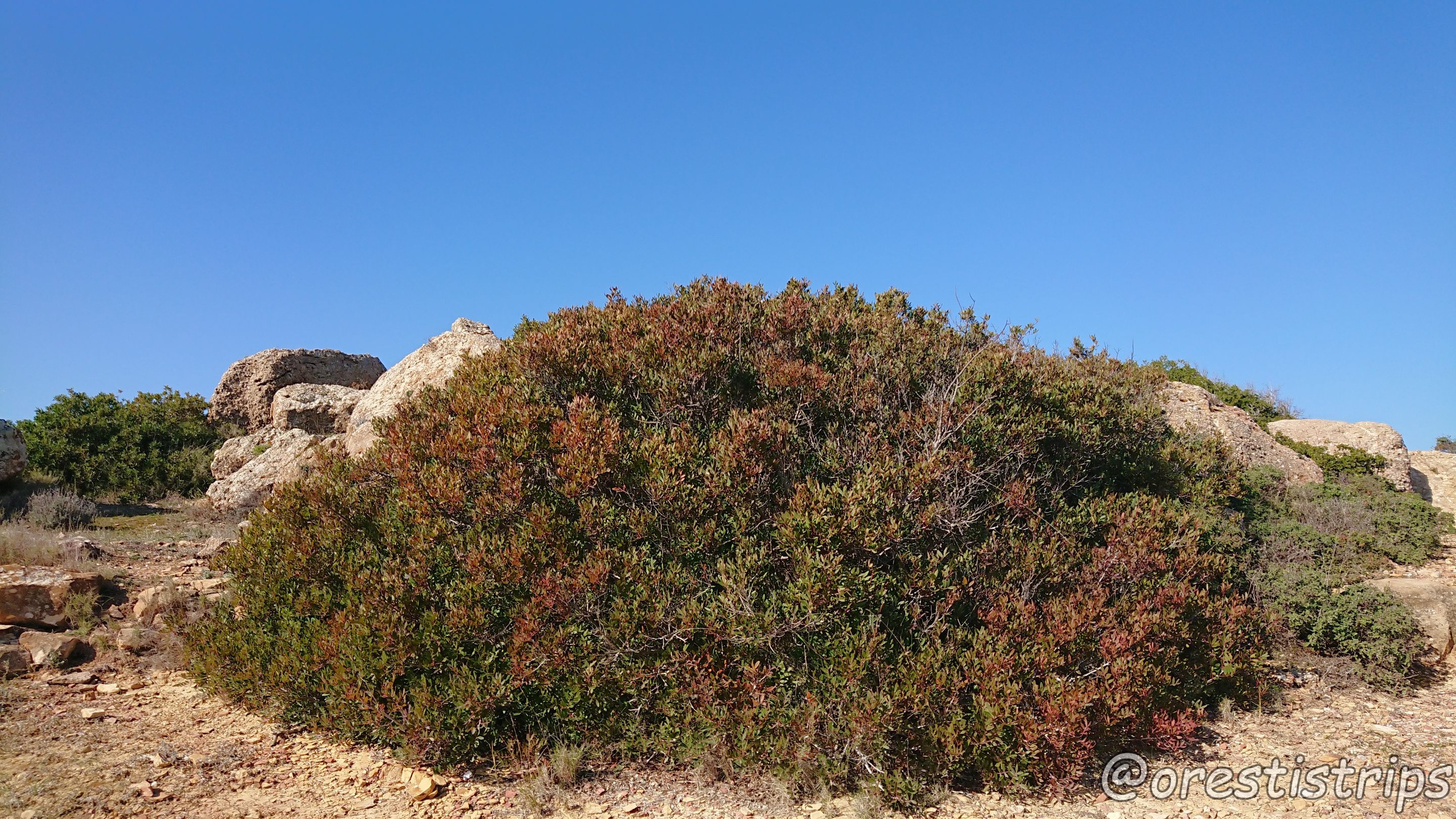 DSC_0037.JPG
