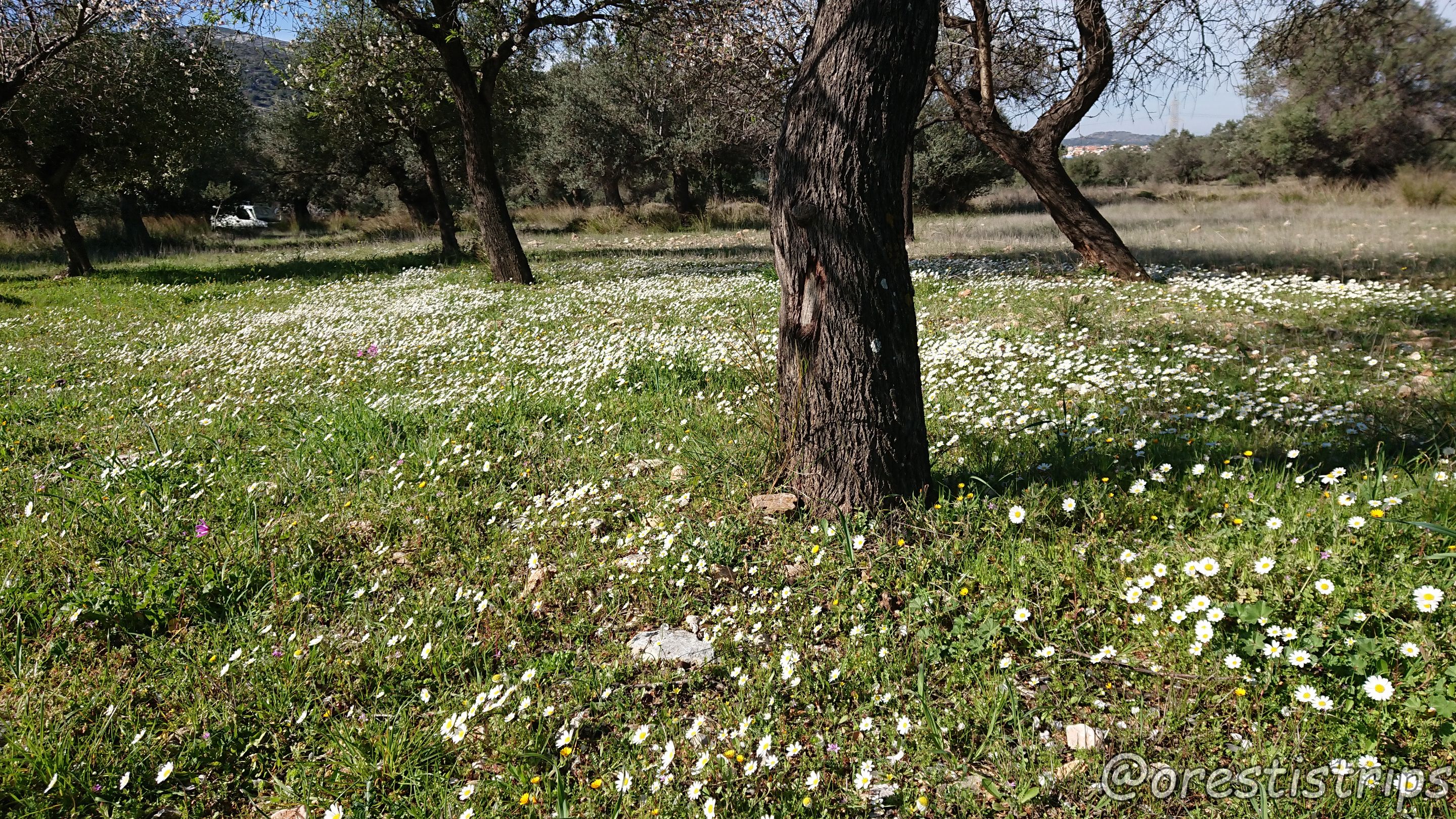 DSC_0063.JPG