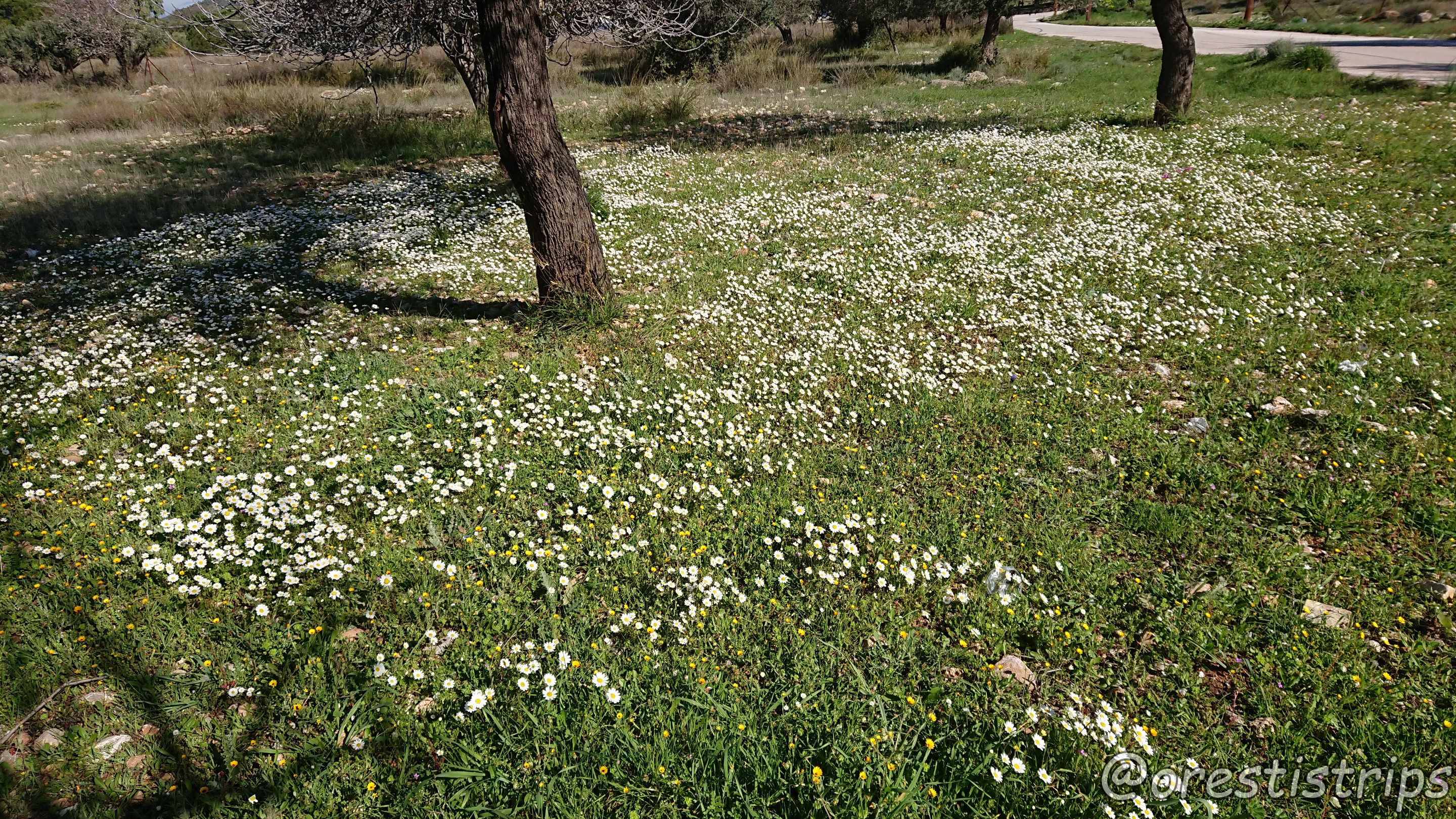 DSC_0065.JPG