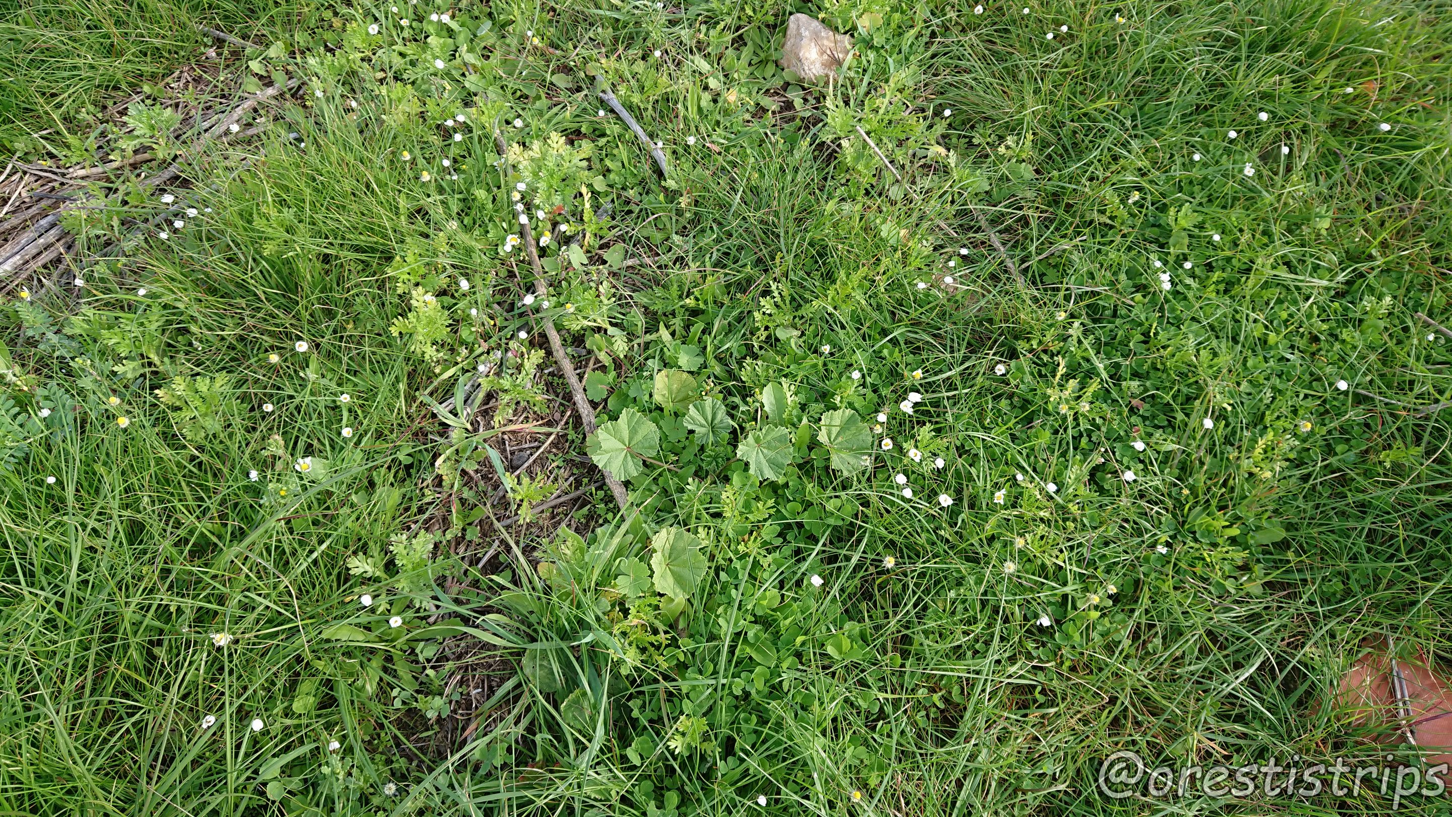 DSC_0029.JPG