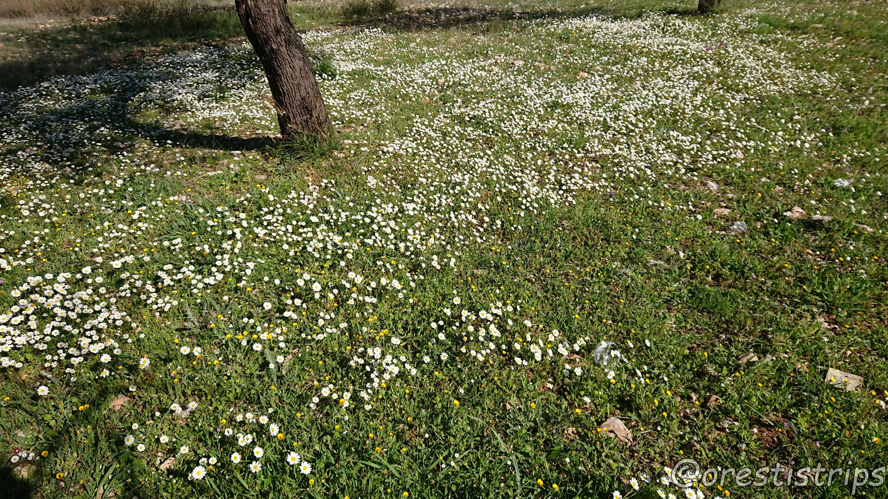 DSC_0064.JPG
