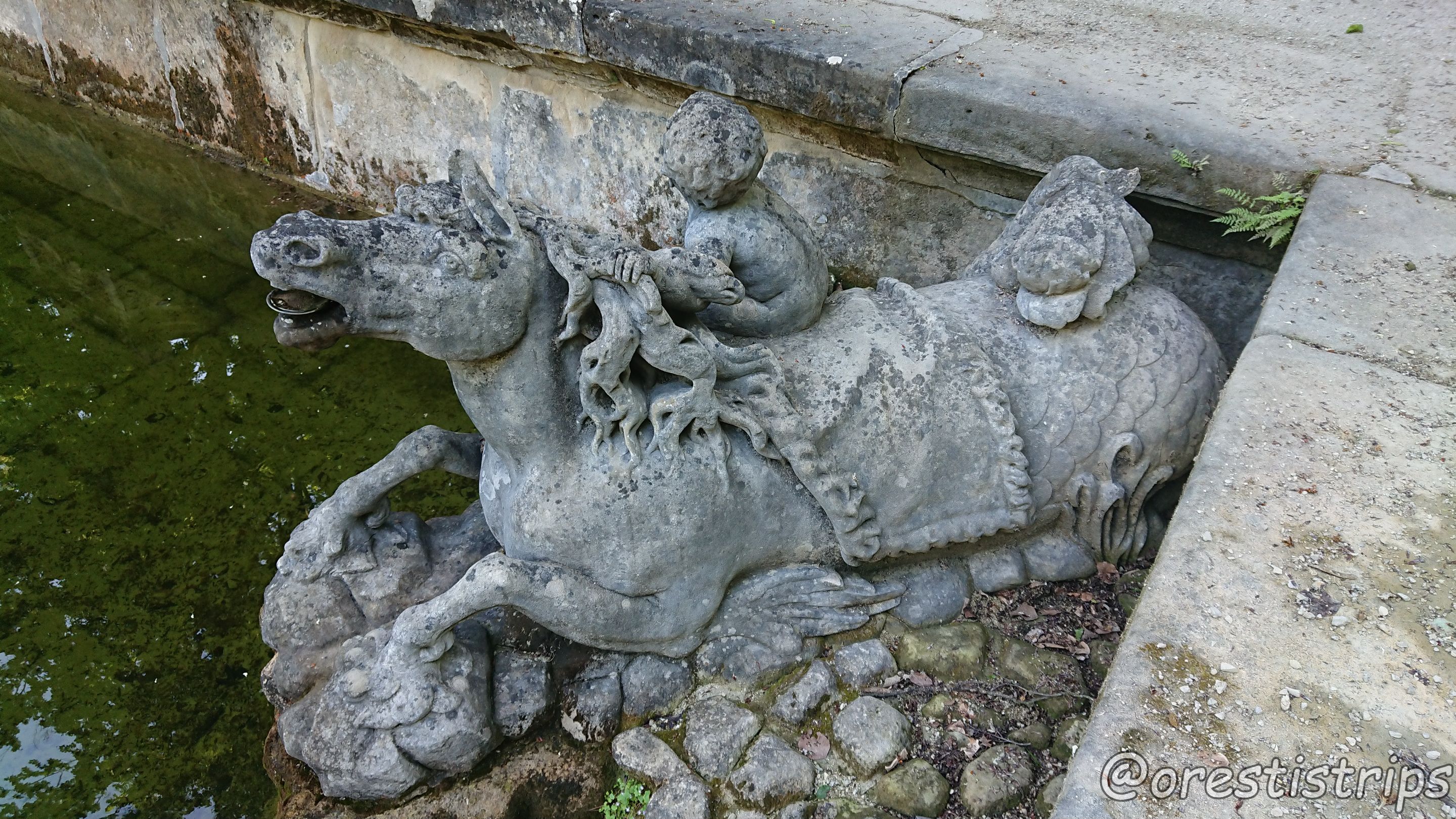 DSC_0166.JPG