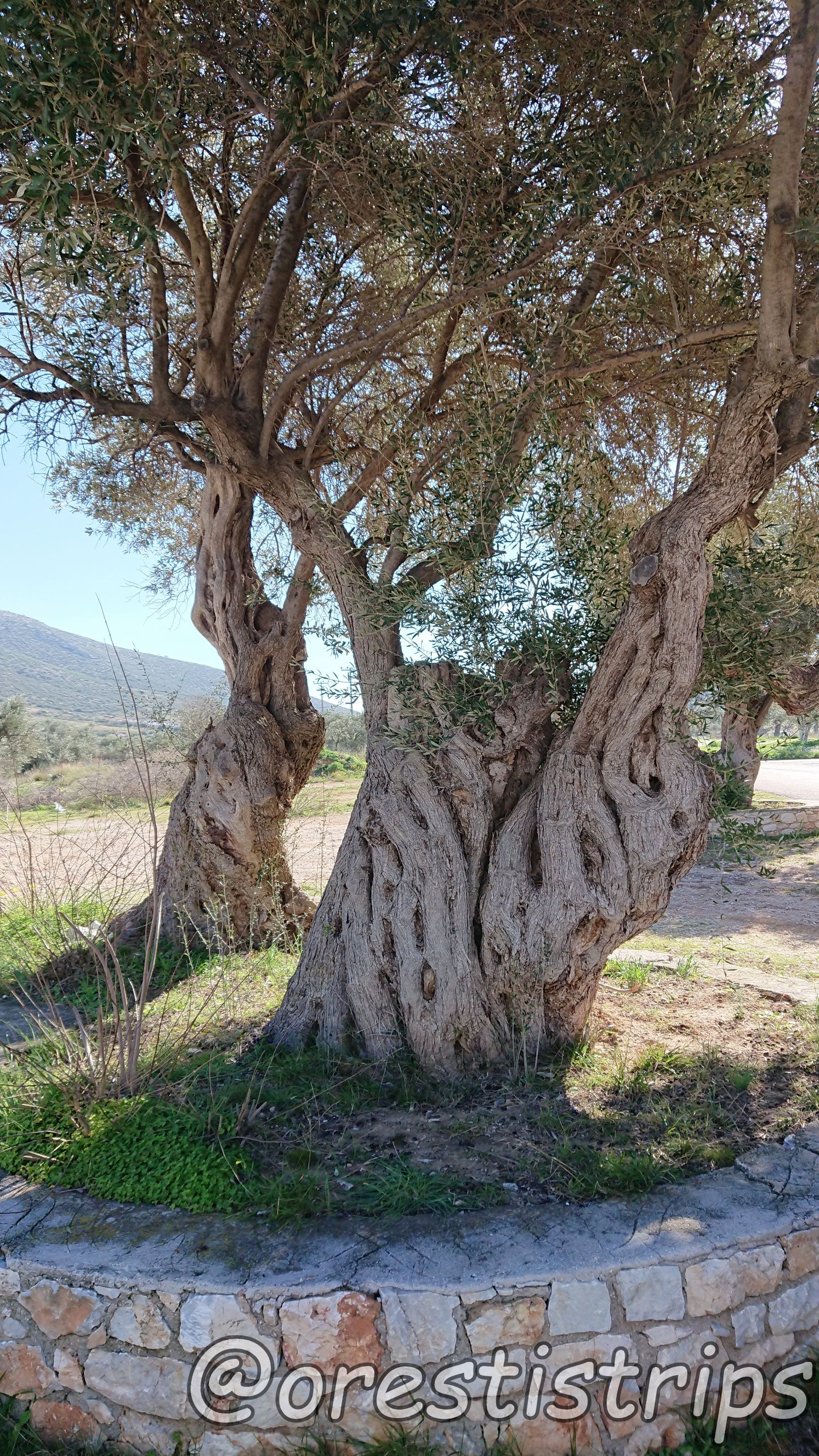 DSC_0067.JPG