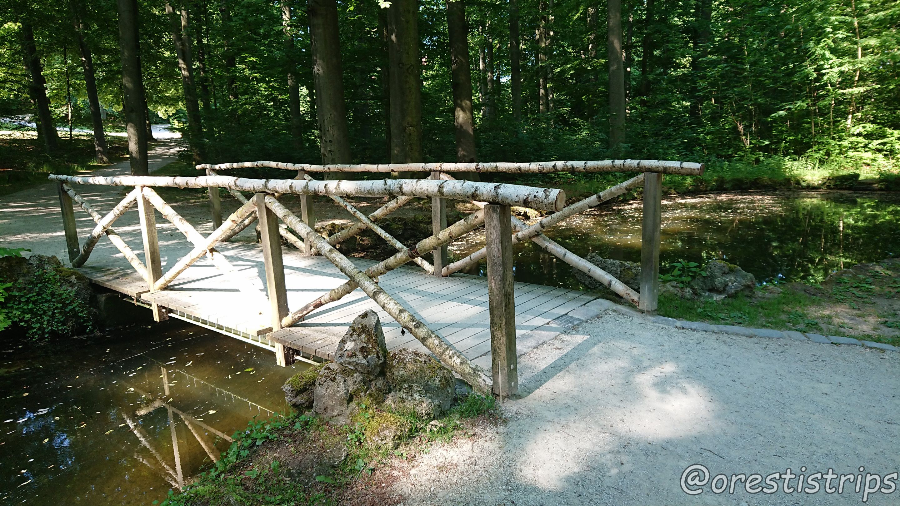 DSC_0143.JPG