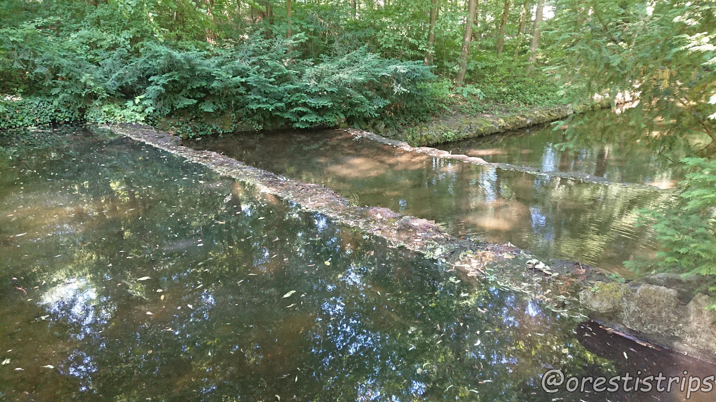 DSC_0136.JPG