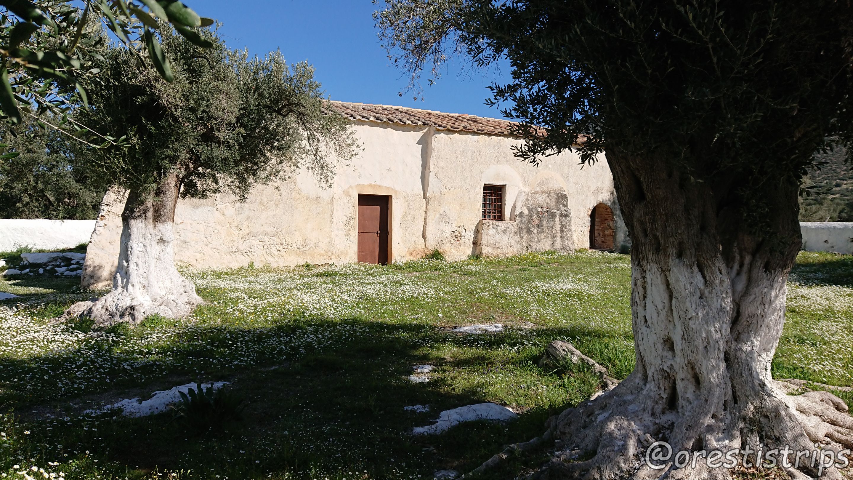 DSC_0090.JPG