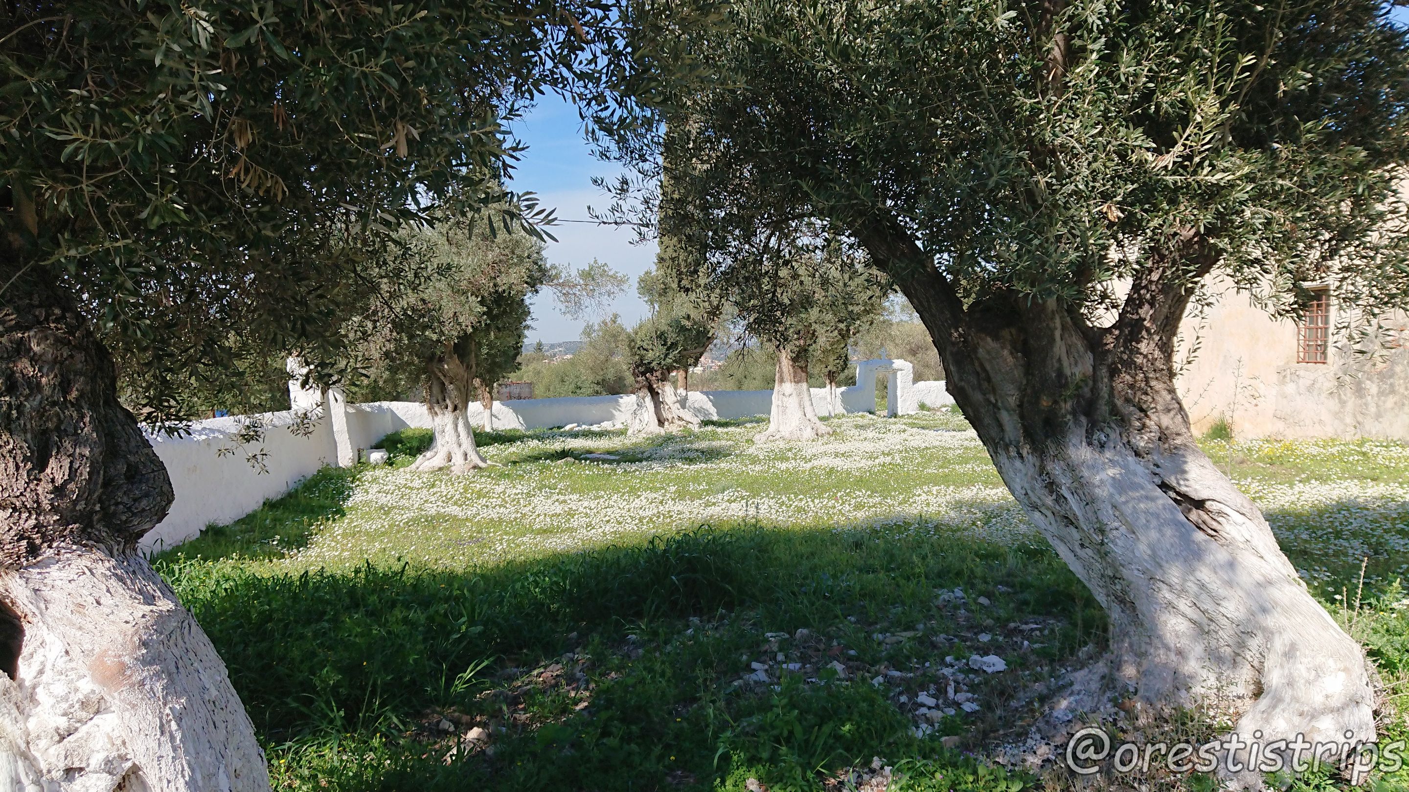 DSC_0071.JPG