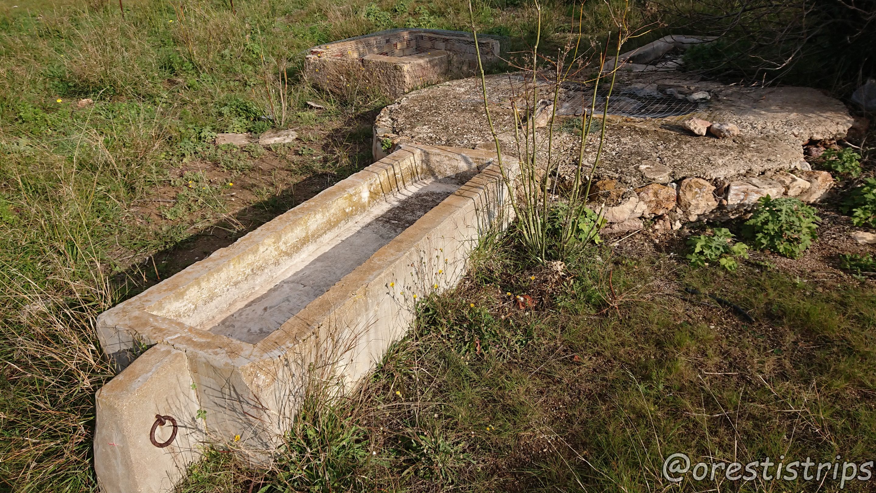 DSC_0015.JPG