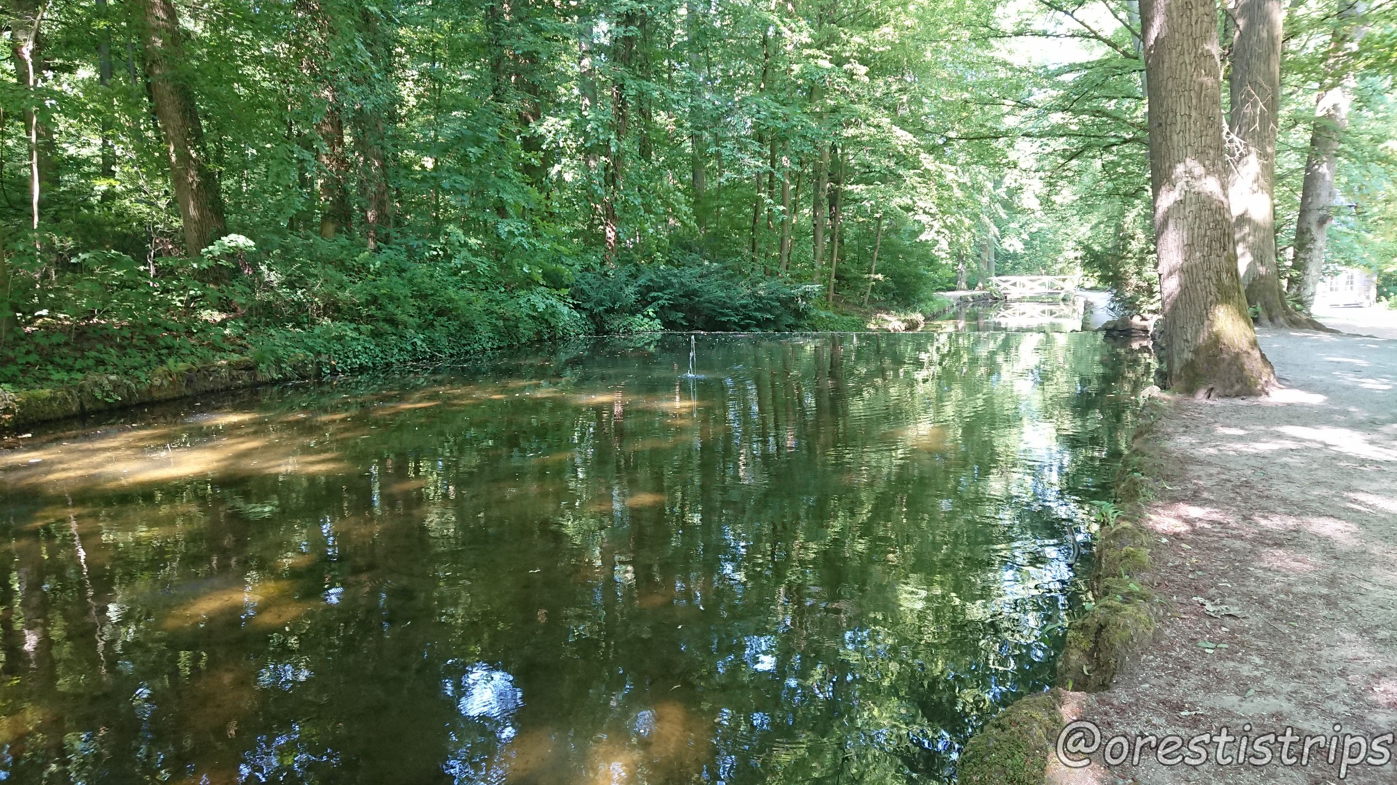 DSC_0133.JPG