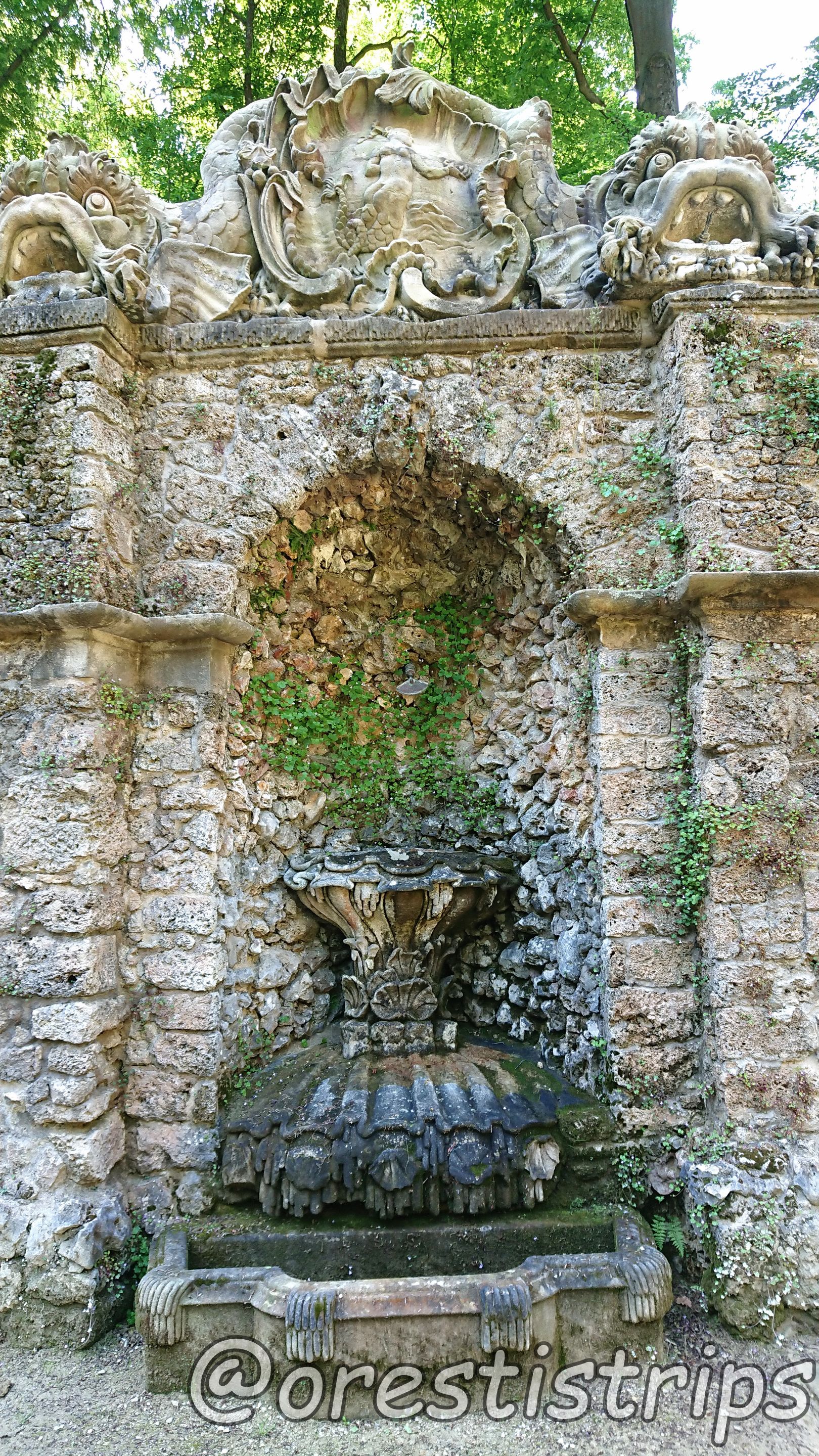 DSC_0161.JPG