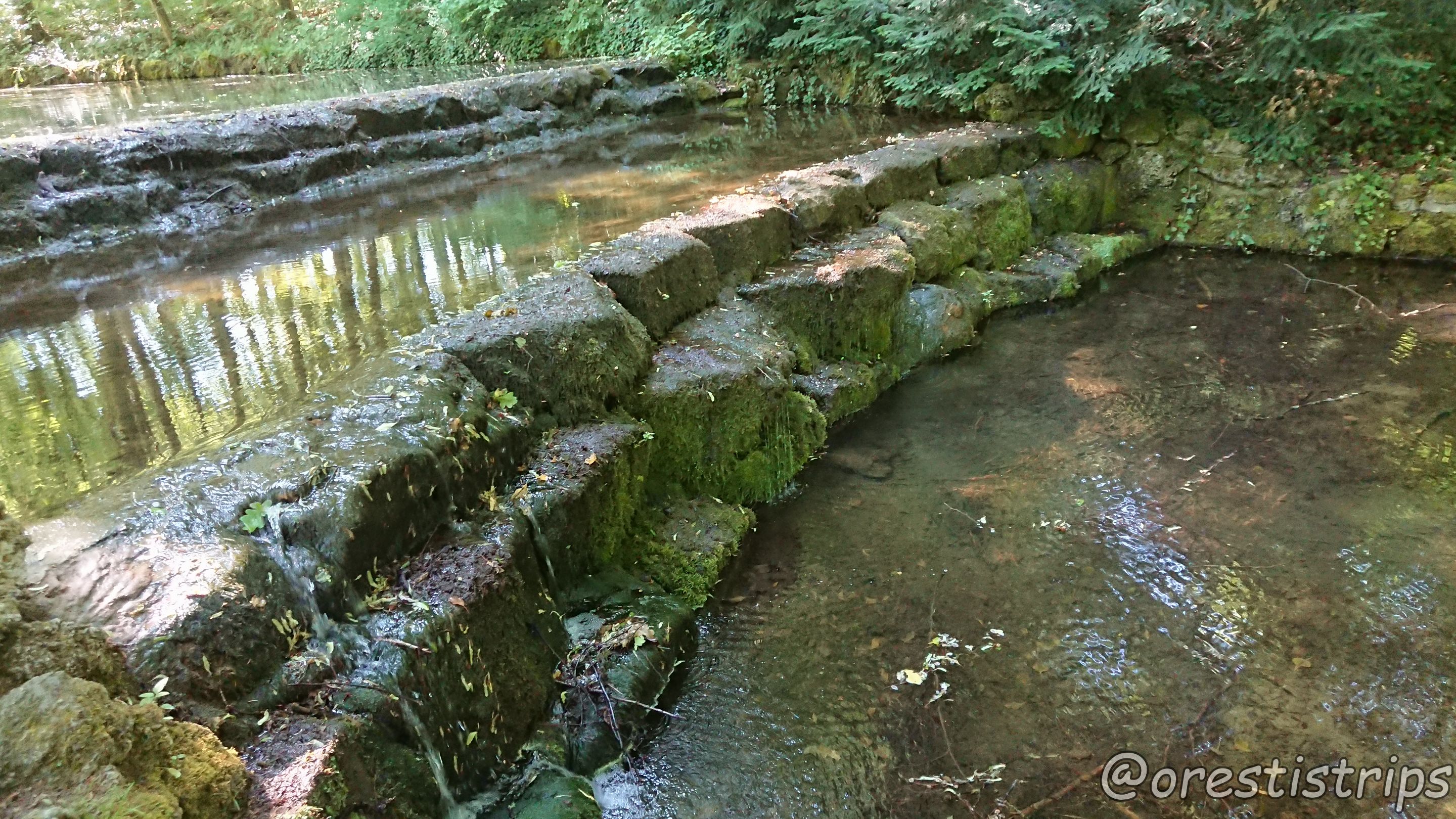 DSC_0141.JPG