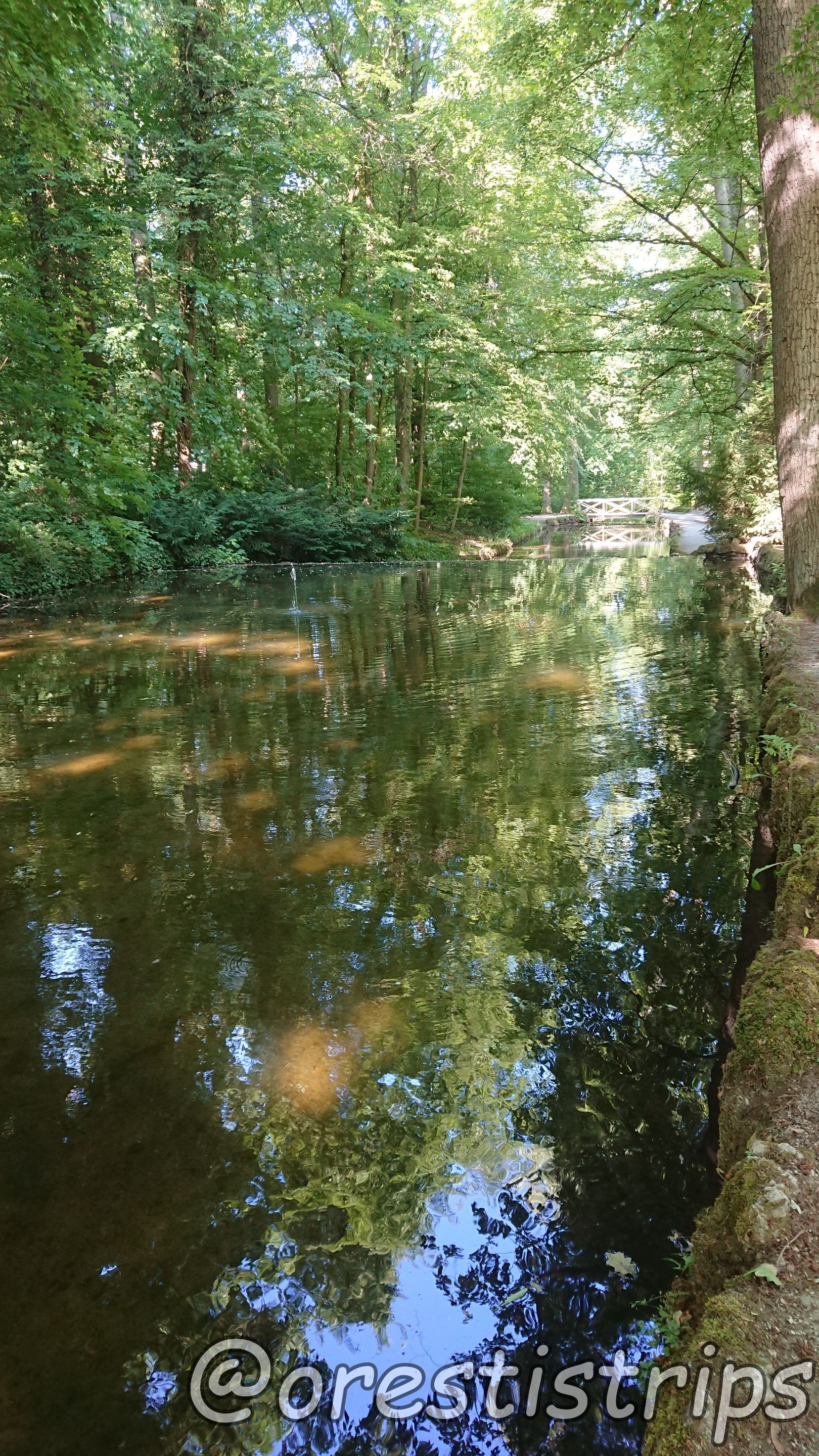DSC_0134.JPG