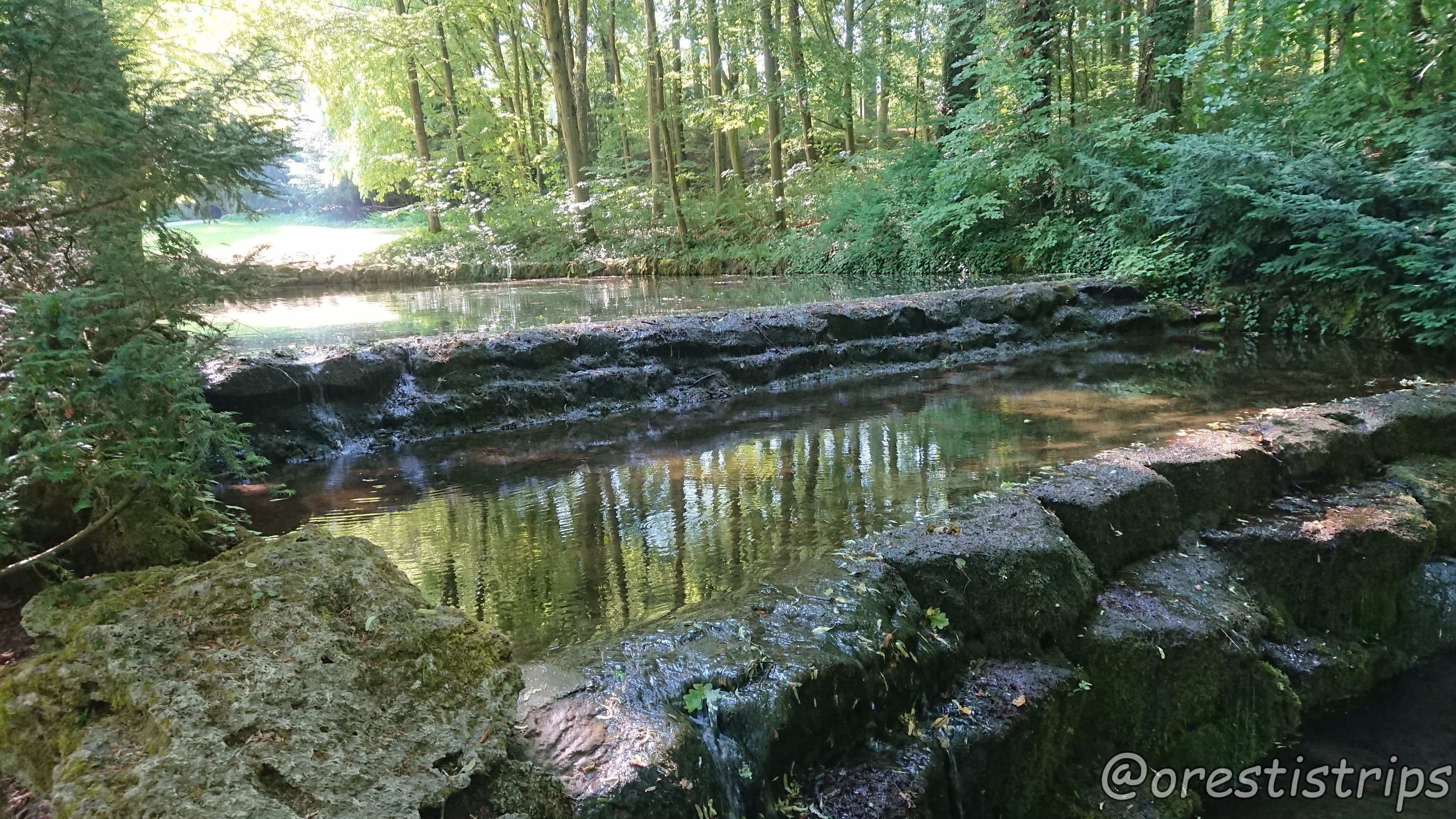 DSC_0140.JPG