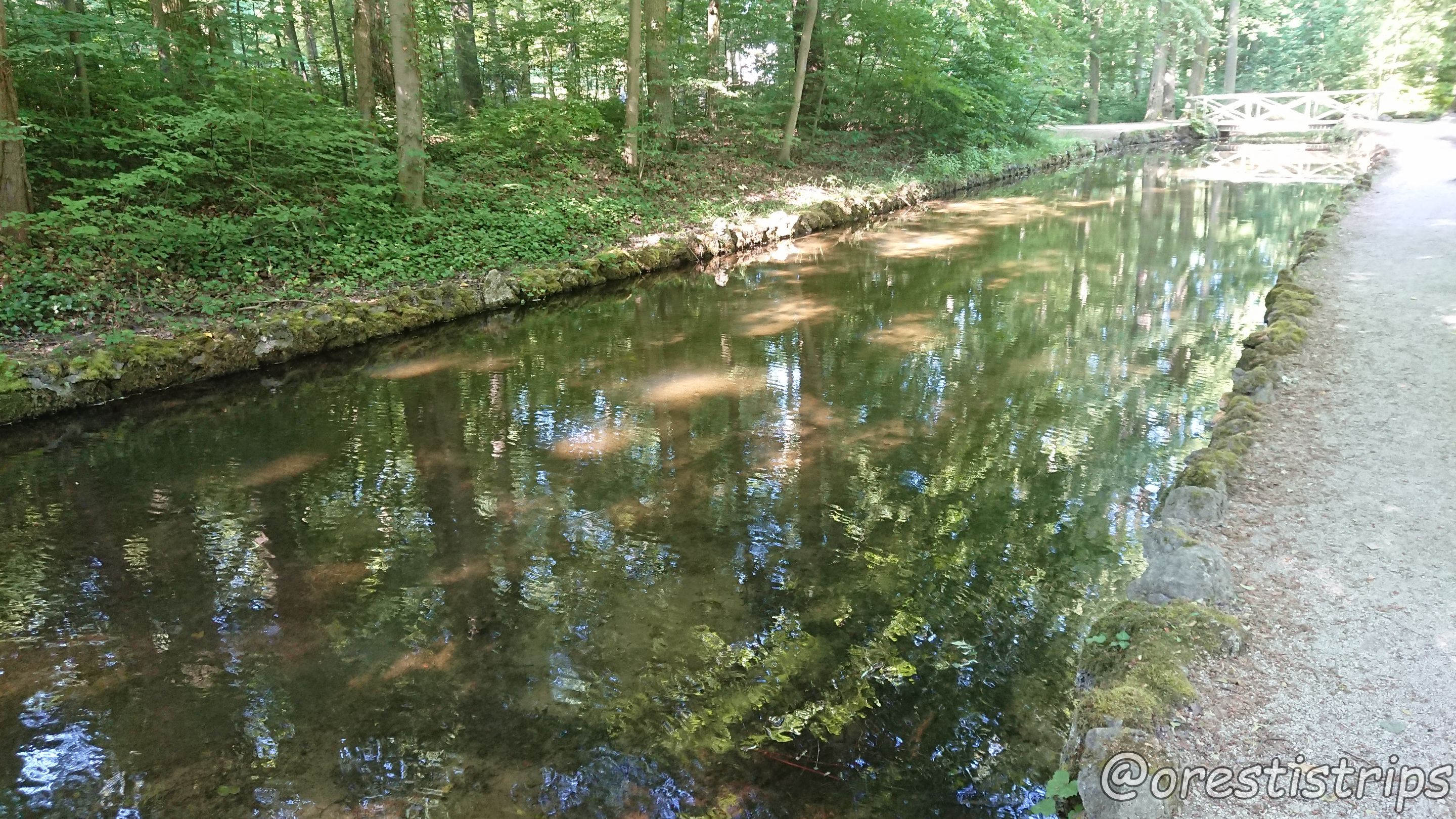 DSC_0142.JPG