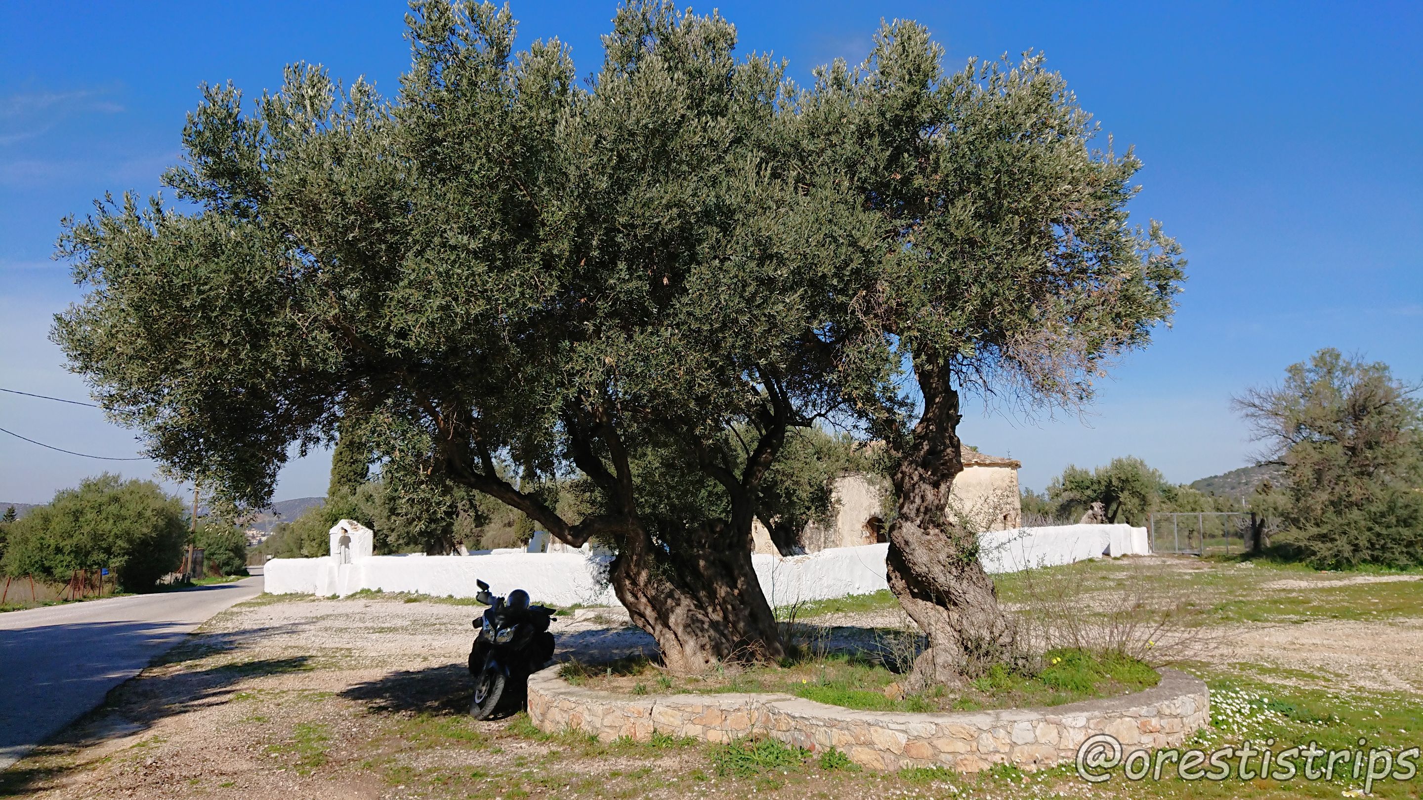 DSC_0069.JPG