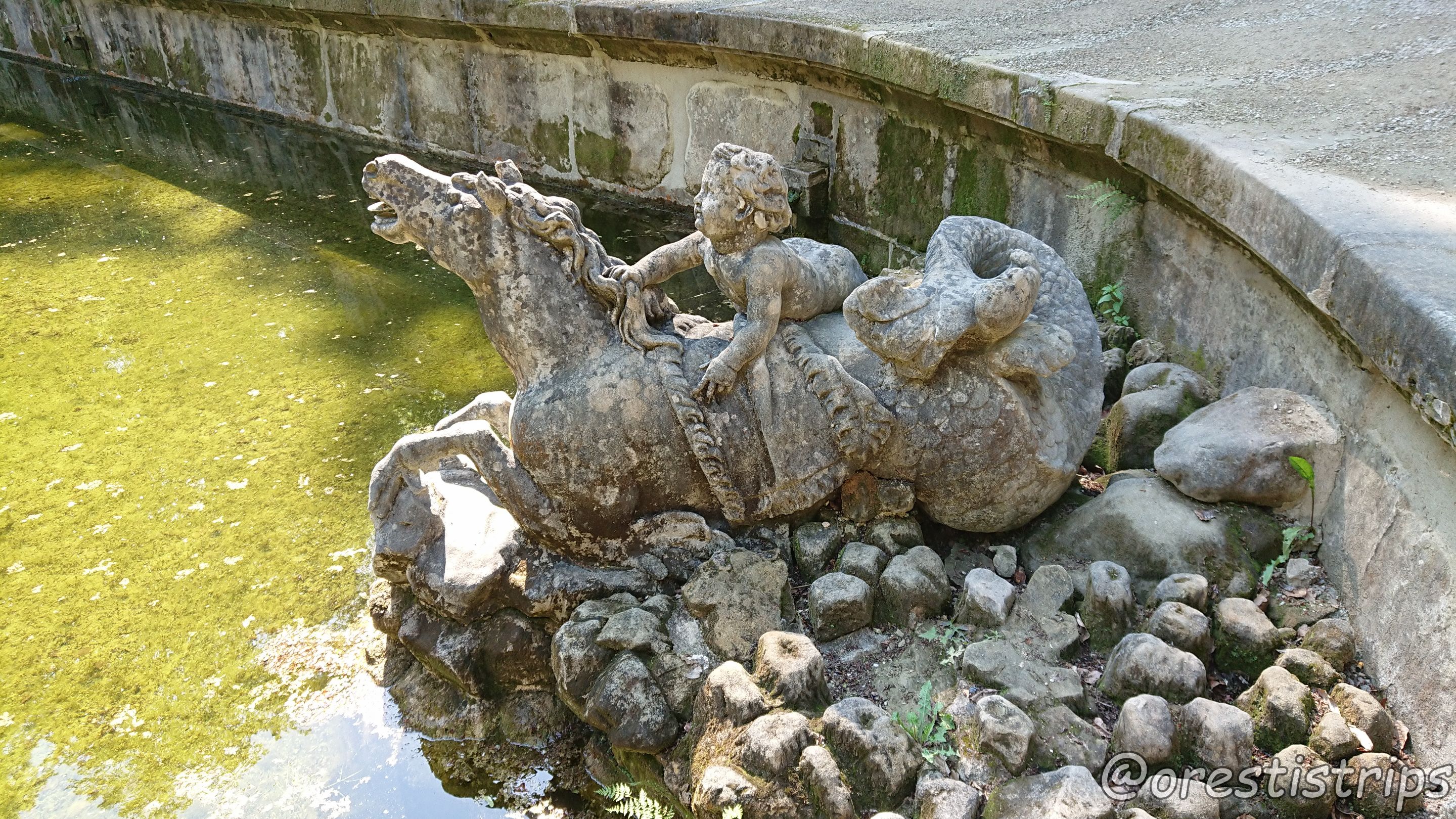 DSC_0156.JPG